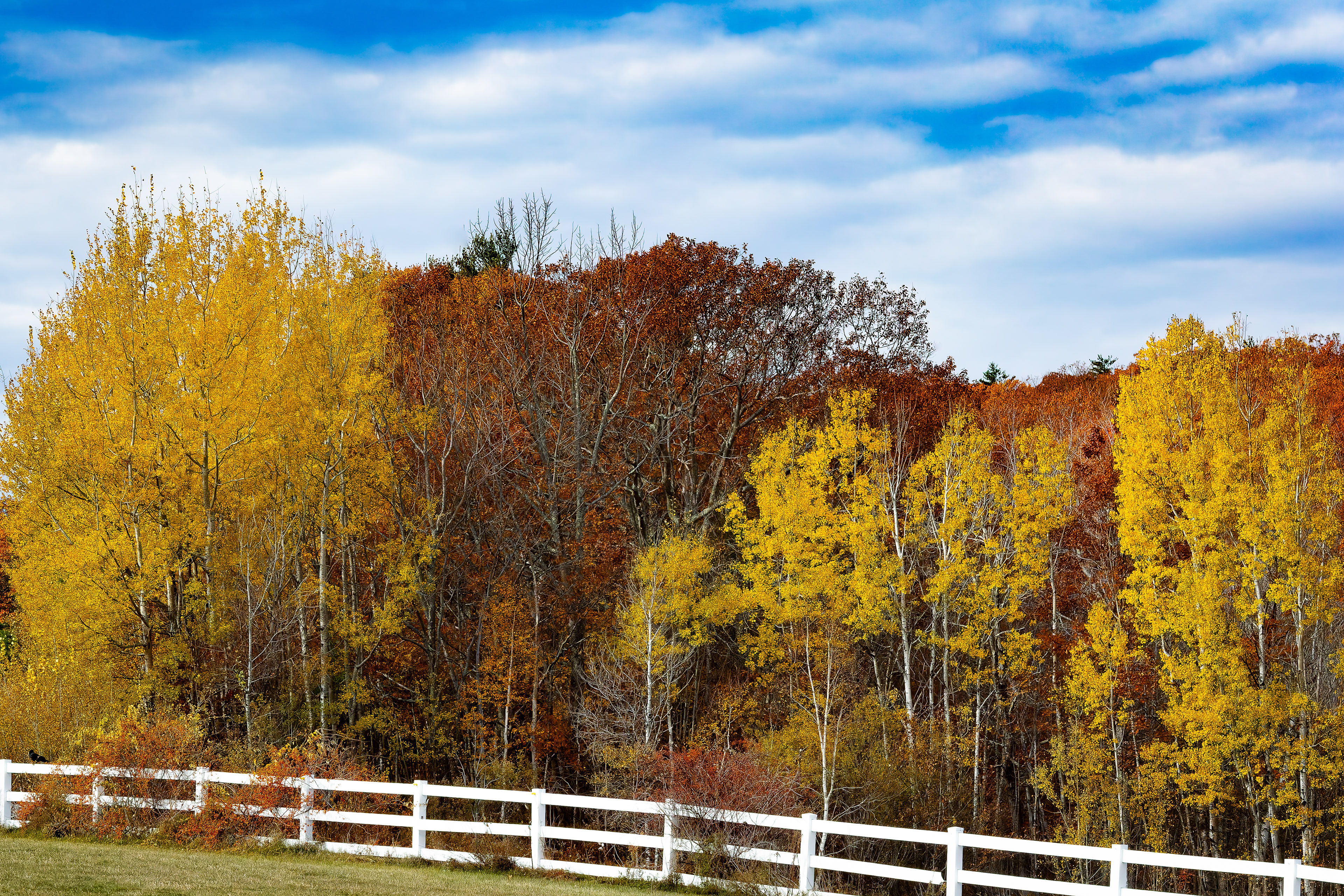 Autumn Color at Castle in the Clouds No4