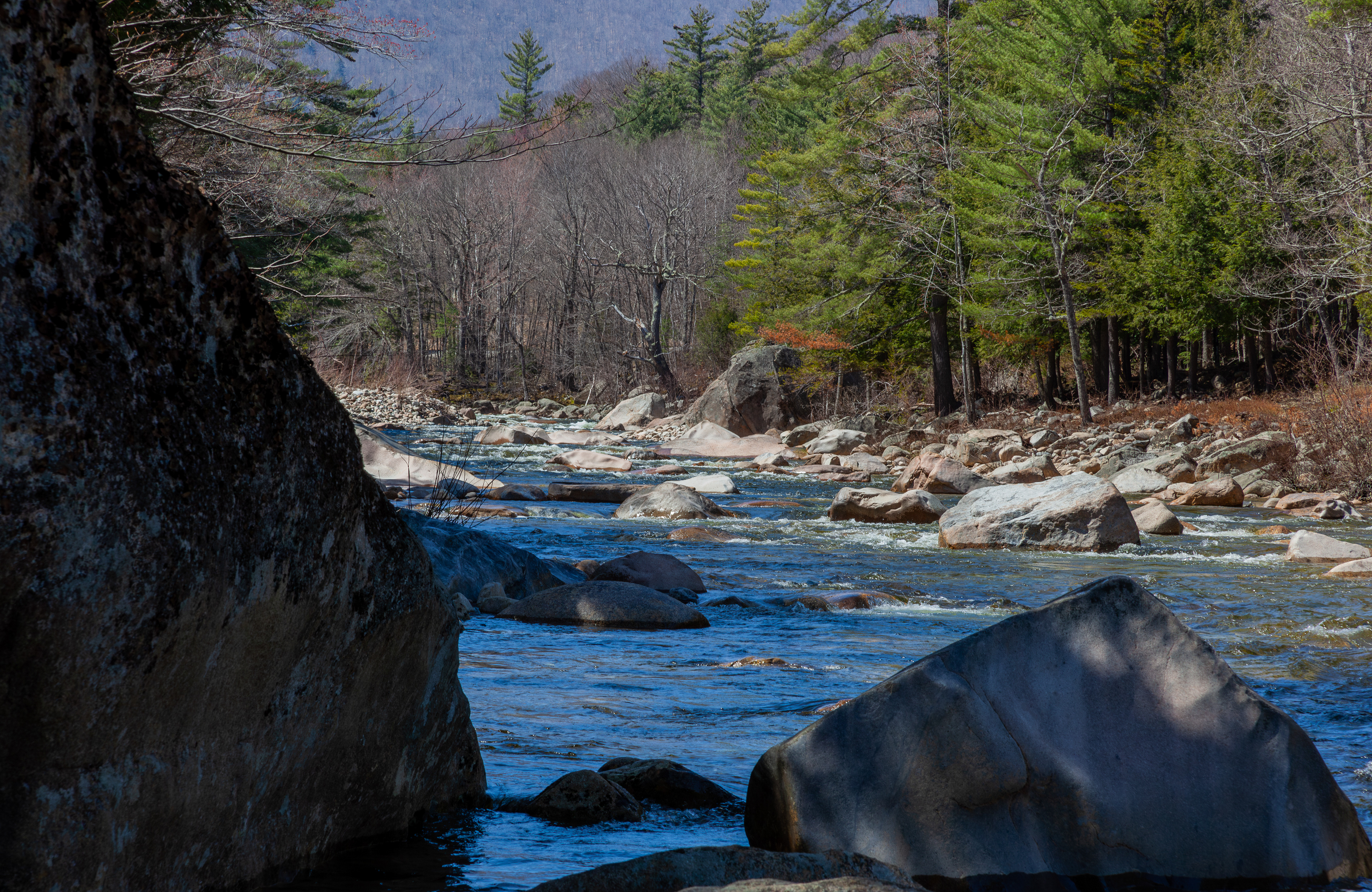 Saco River at Hart's Location No2