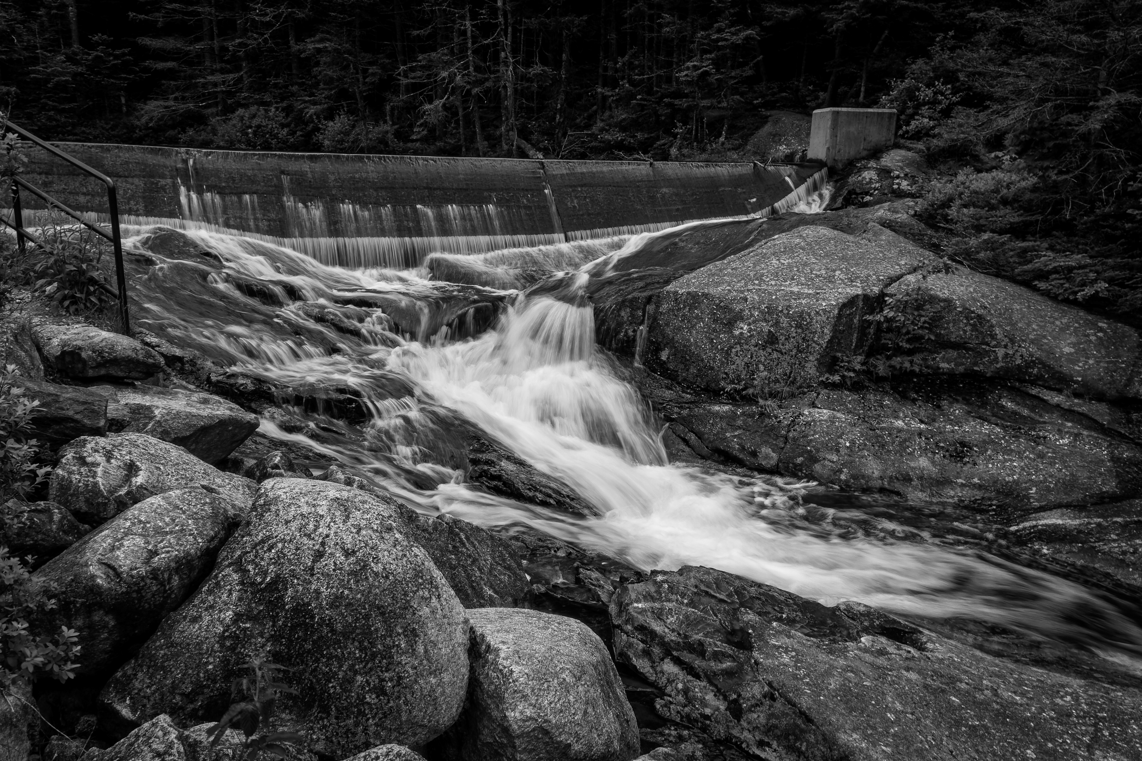 Beaver Pond Dam No1