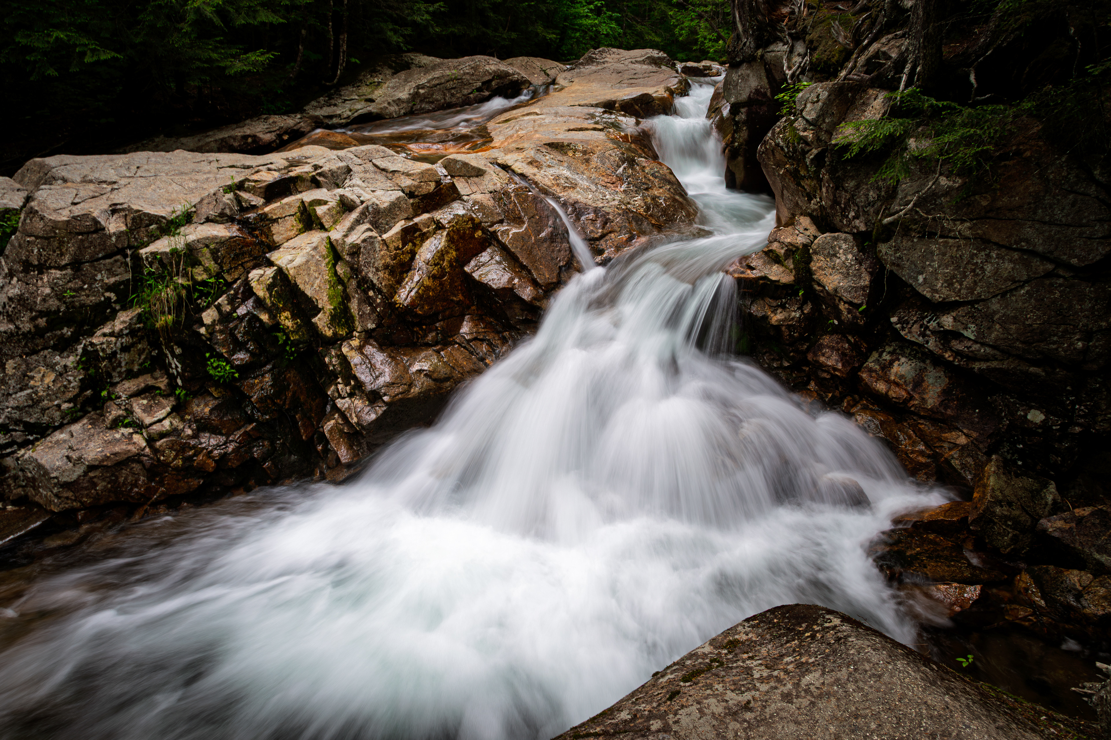 Waterfall Along the Basin Trail - June 15, 2025