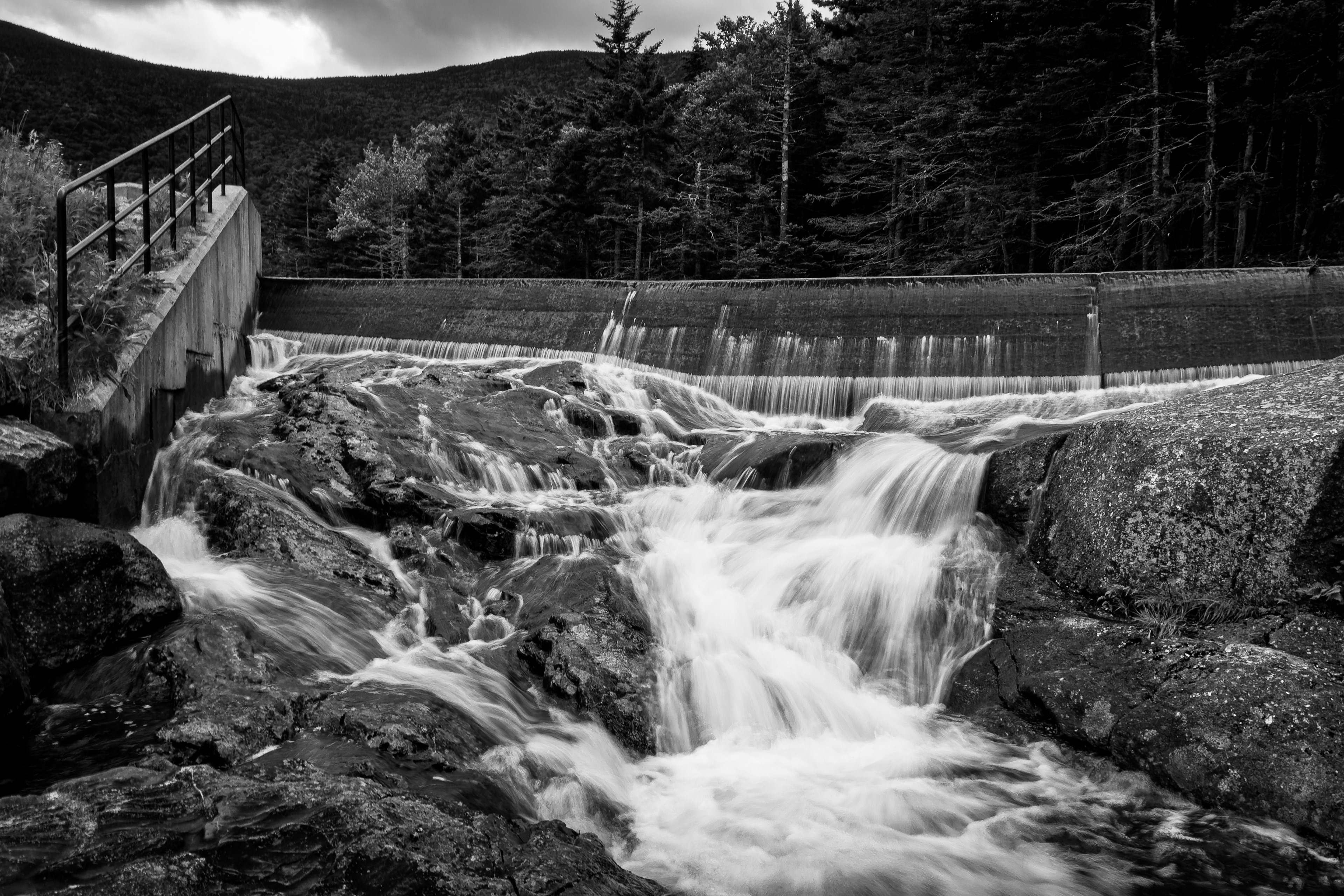 Beaver Pond Dam No3