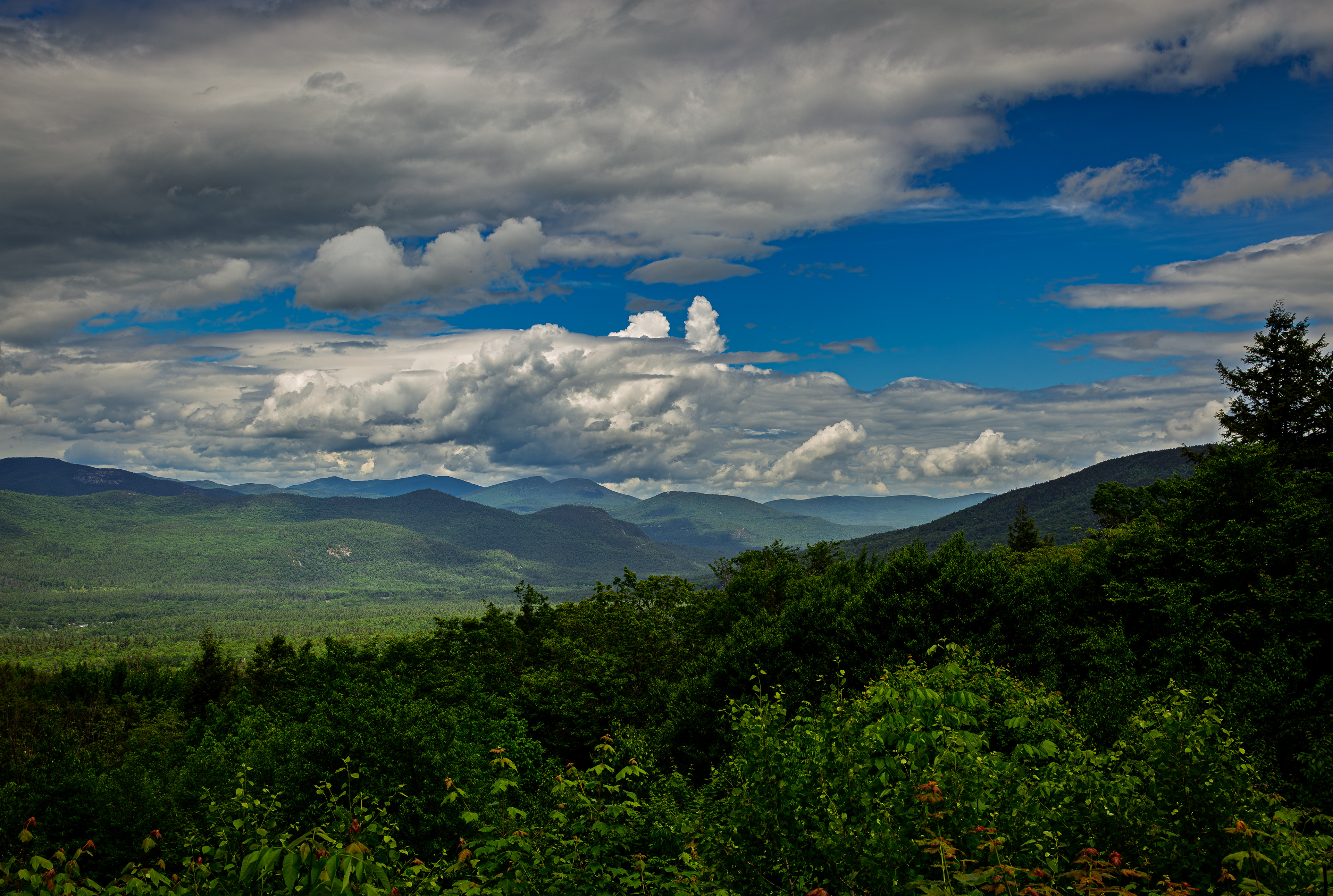 Bear Notch Scenic Vista No10