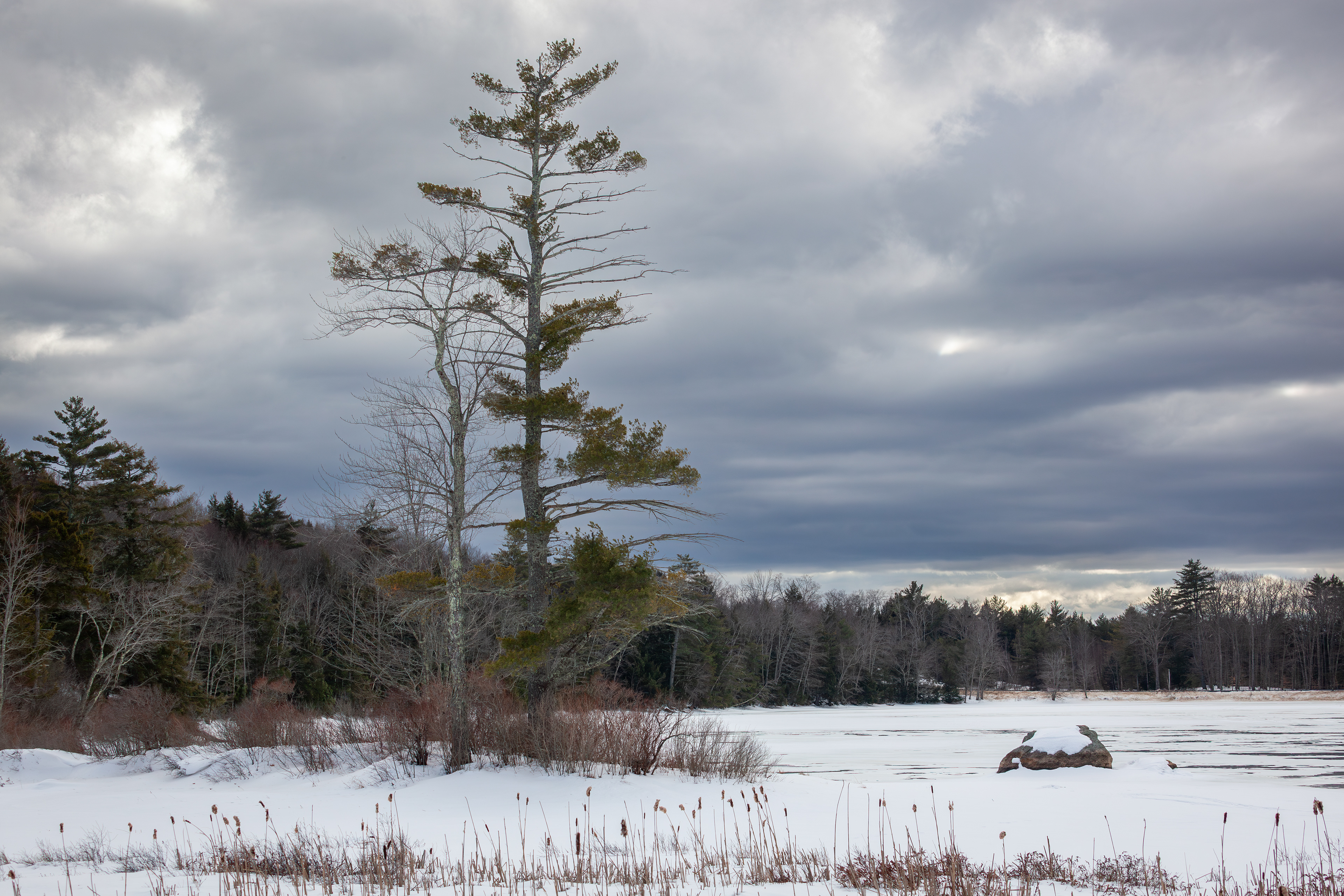 February - Rollins Pond - Gilmanton, NH No4