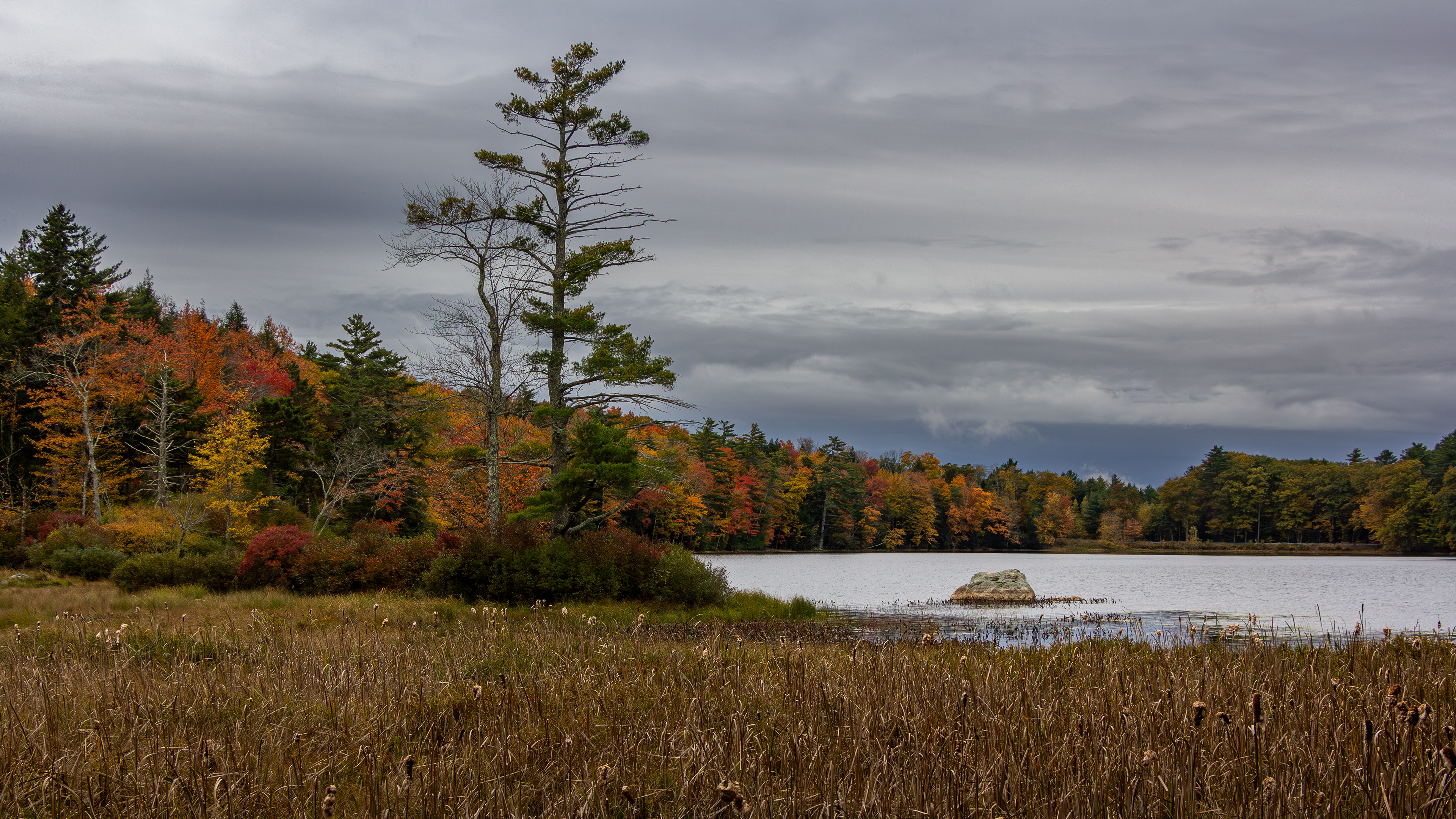 Rollins Pond No13