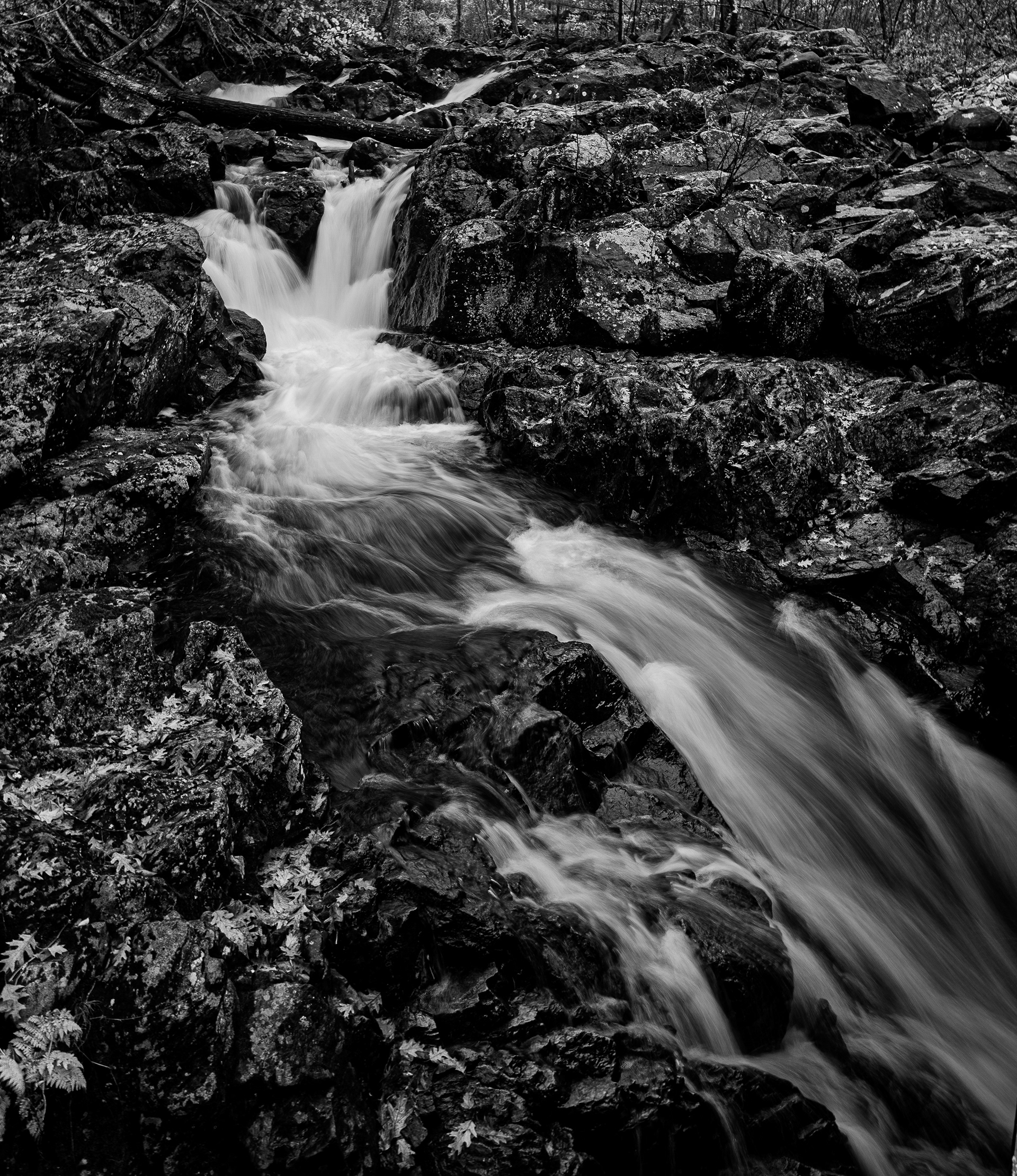 Bristol Falls Park No9