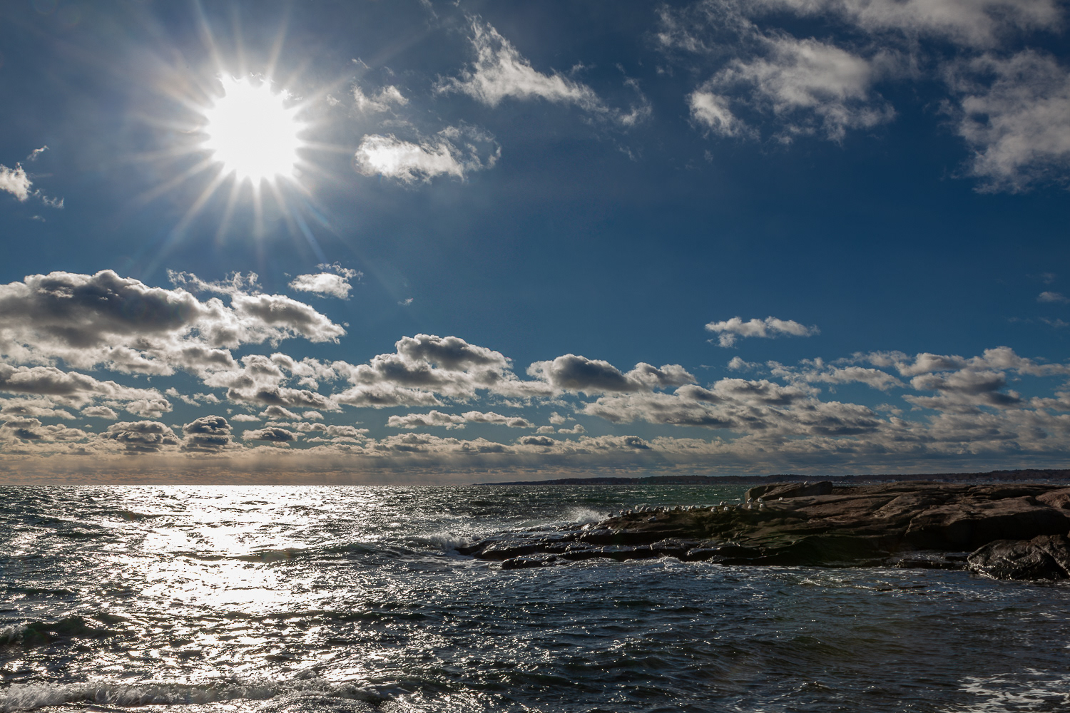 January - Sohier Park - York, Maine No3