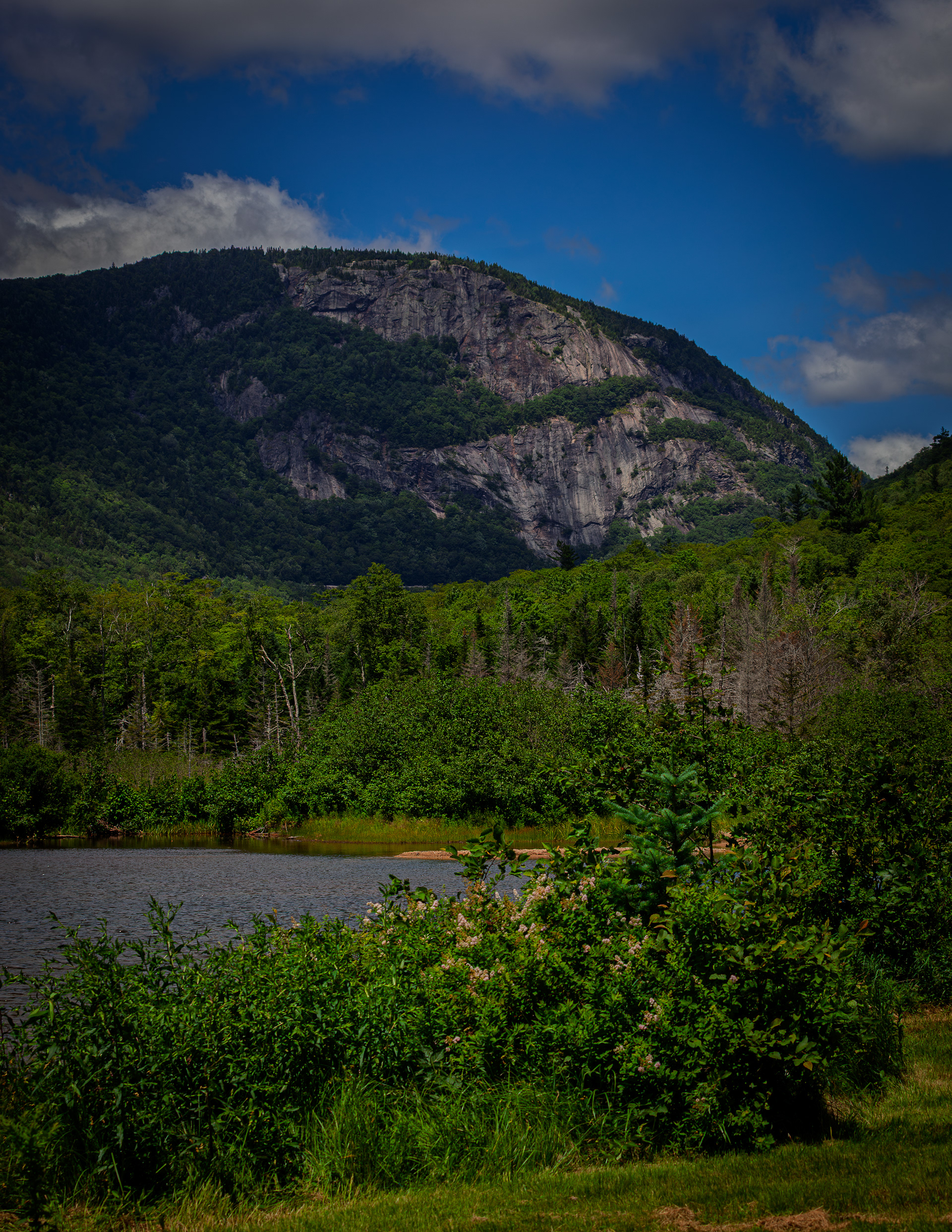 Mount Willard from Willey Pond No8