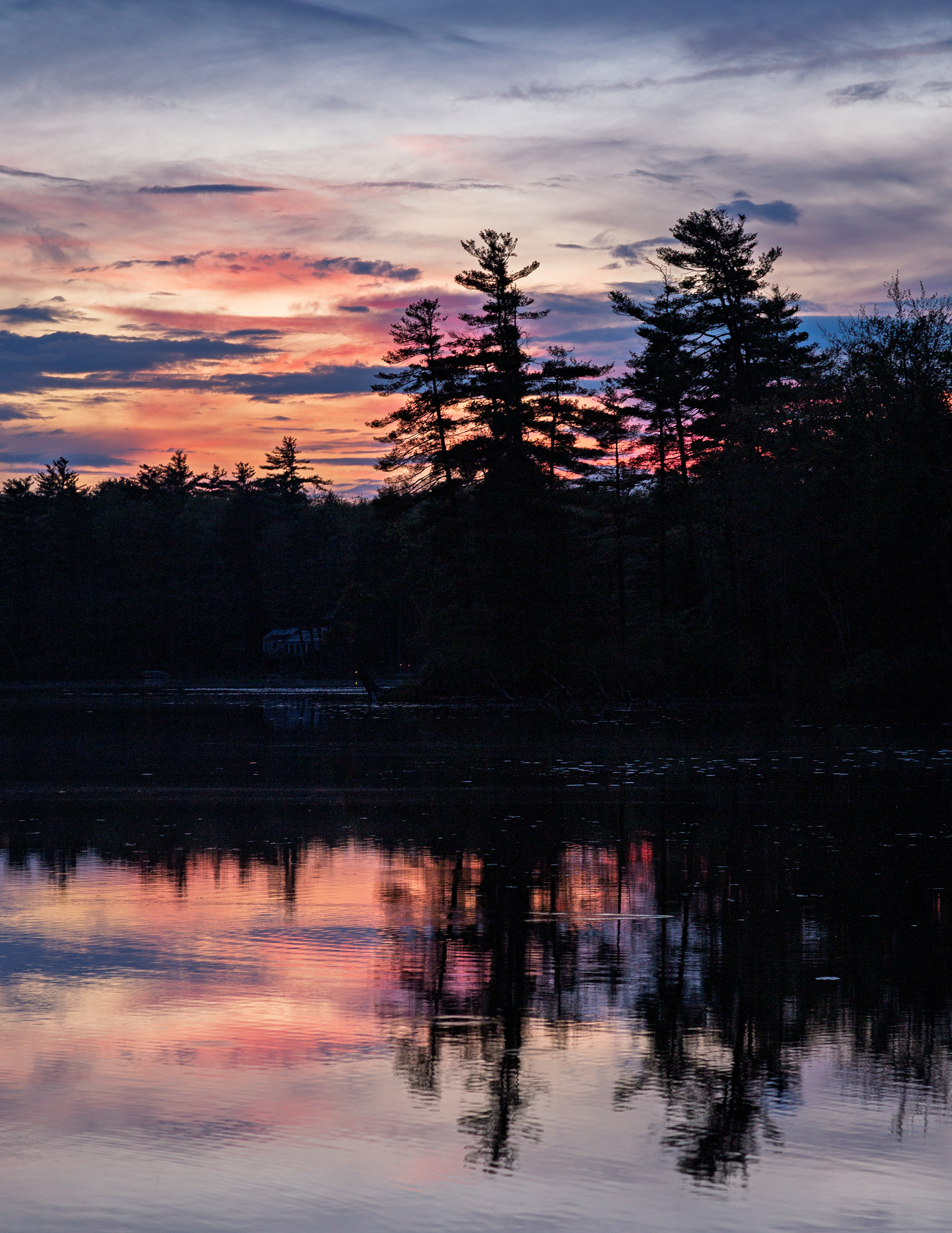 Shellcamp Afterglow No7