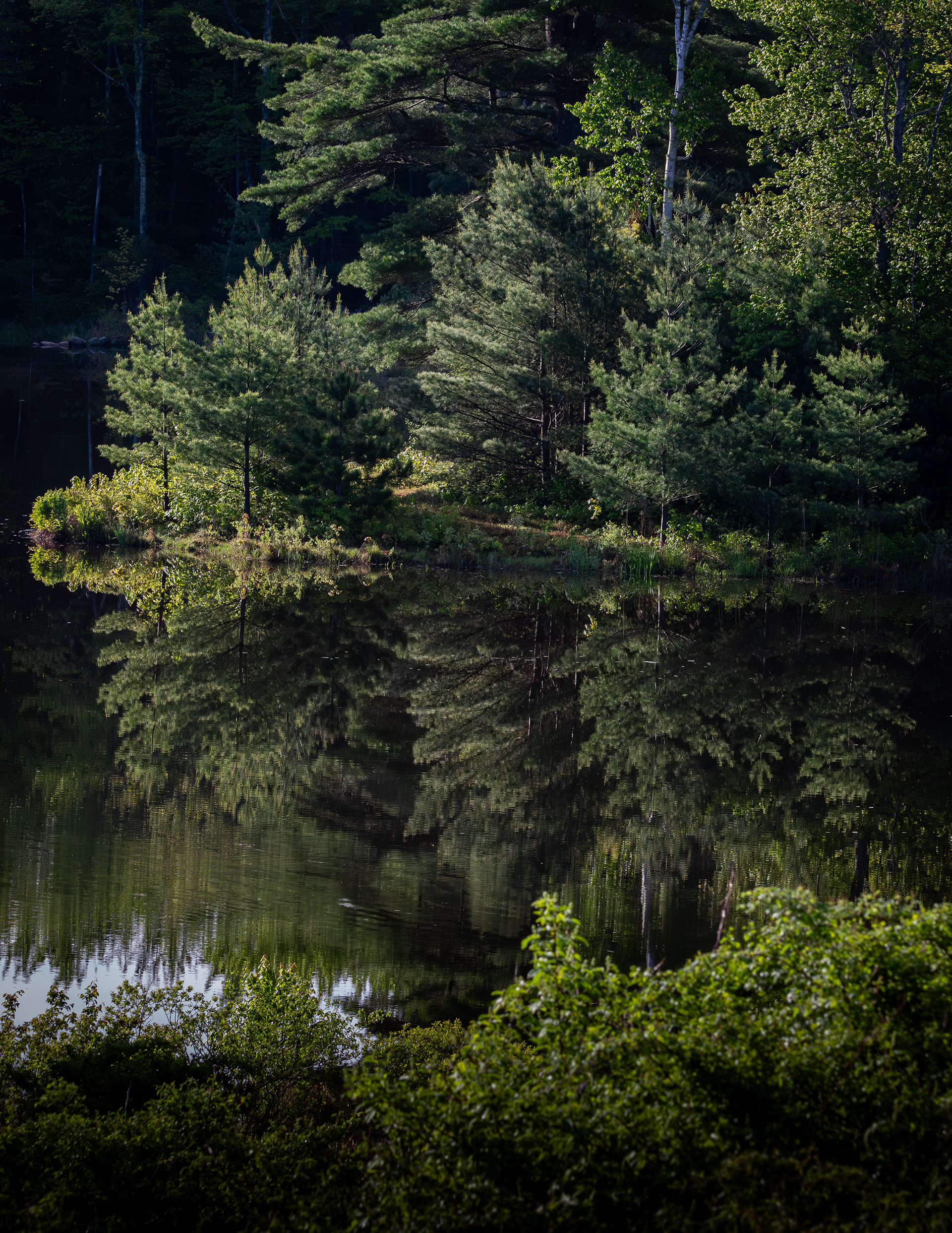 Turning Mill Pond Reflections - May 26, 2026