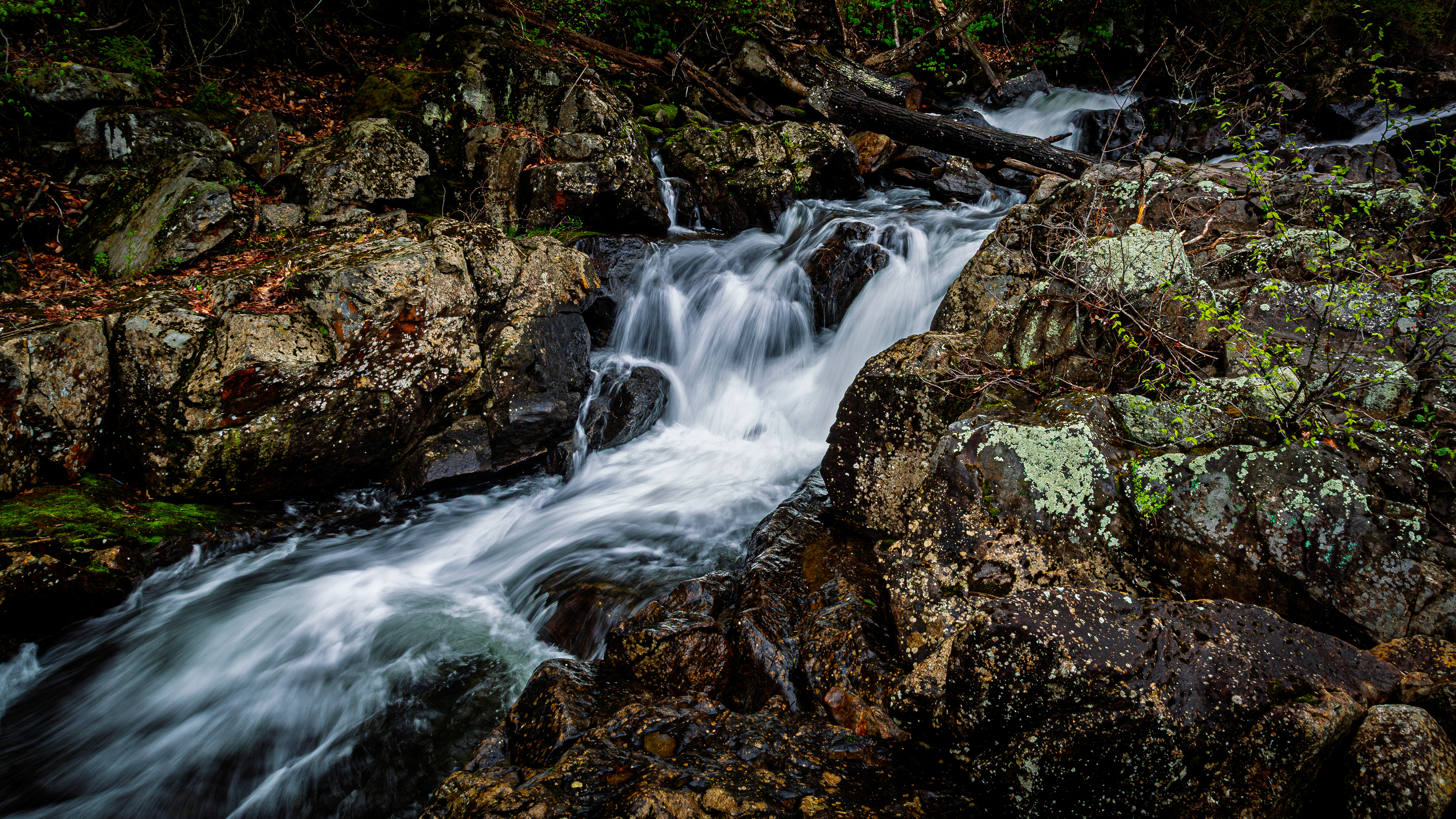 Bristol Falls No2 - May 10, 2026
