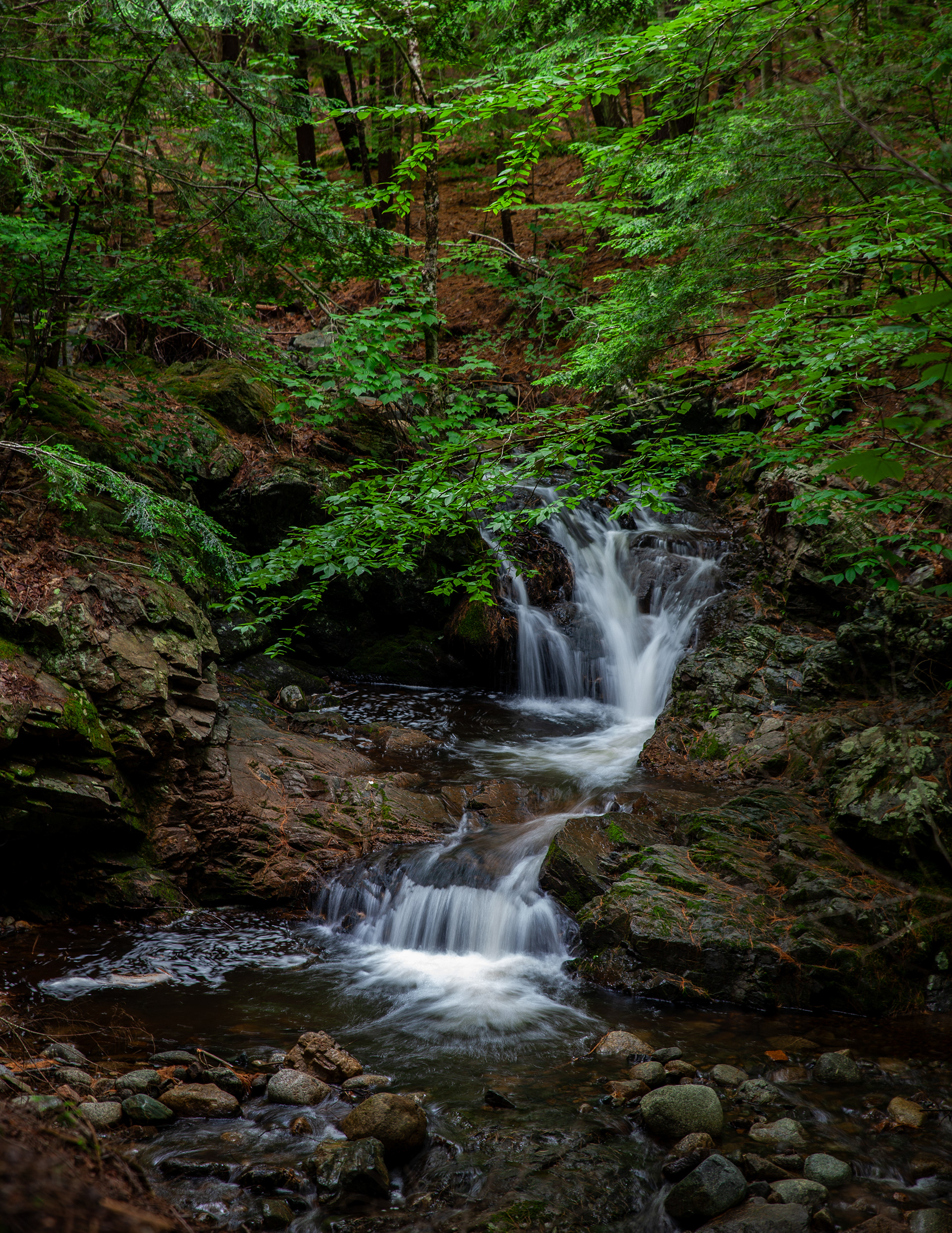 Whittier Falls 2024 No2