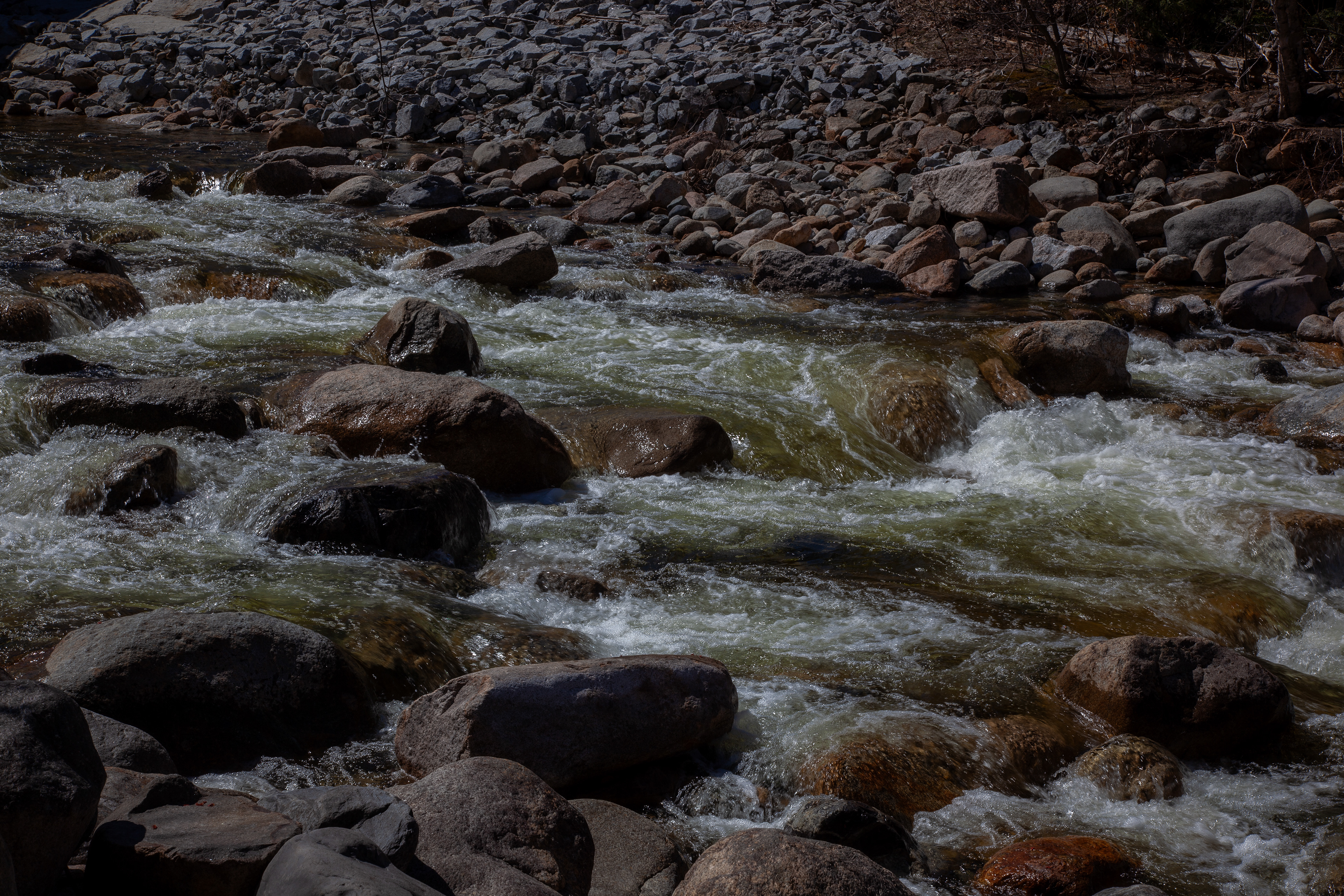 Sawyer River White Water