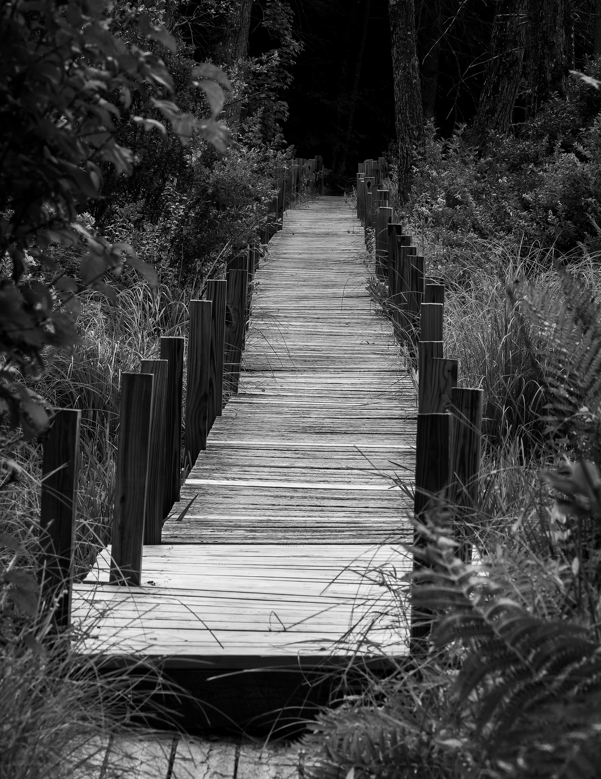 Bridge at QBNA