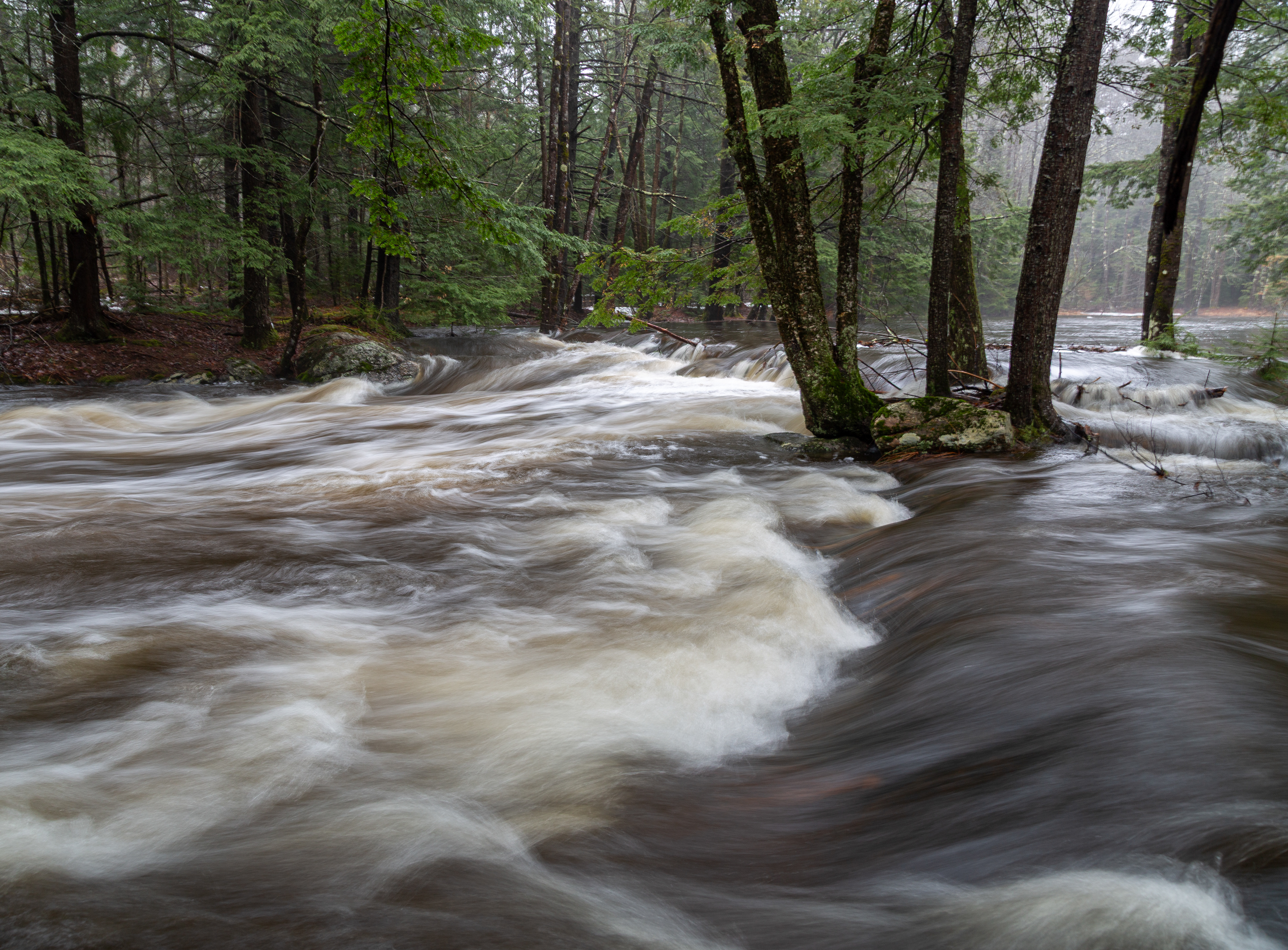 Academy Brook - March 17, 2025