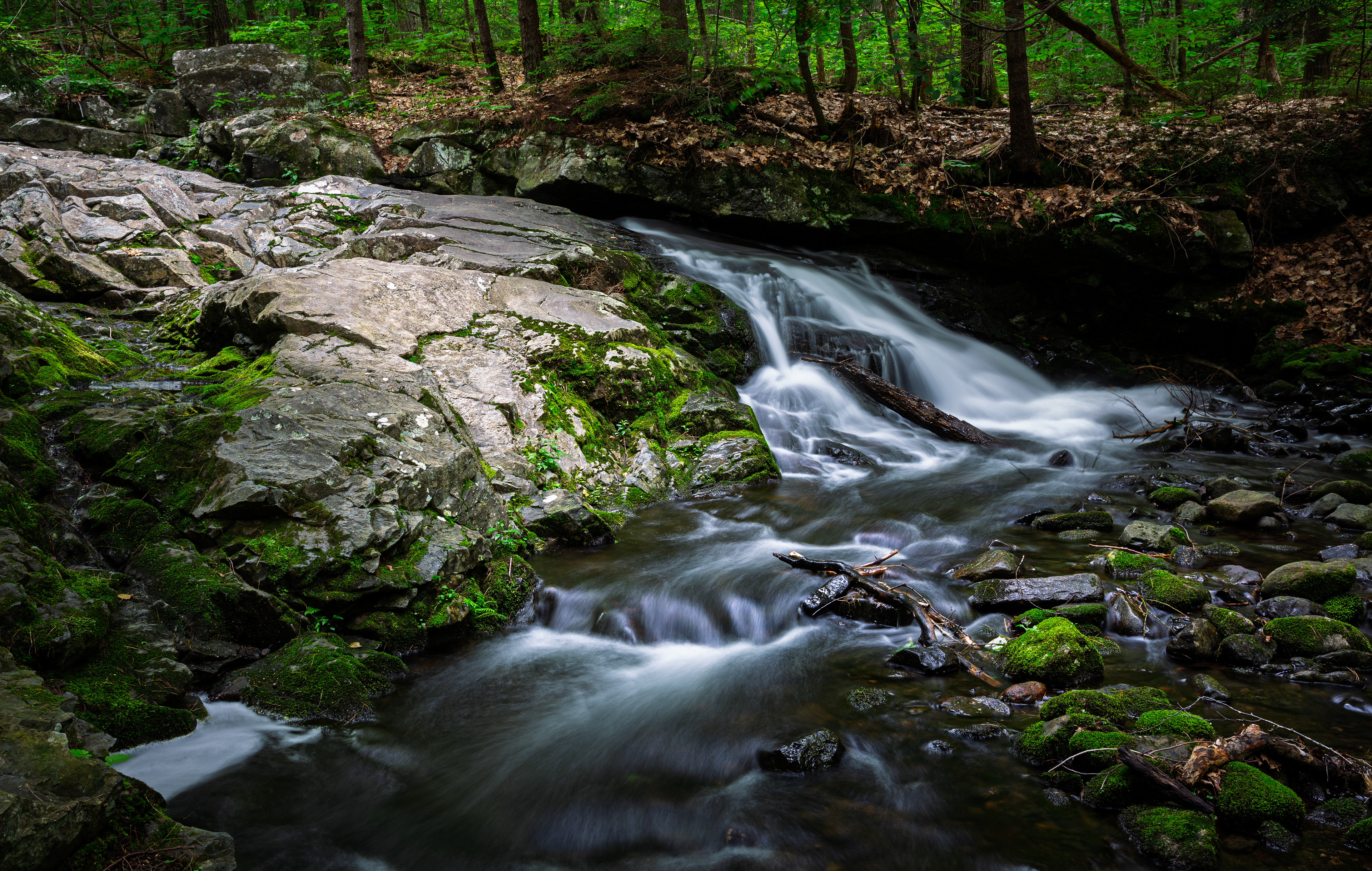 Brook Trail Unnamed Falls No2