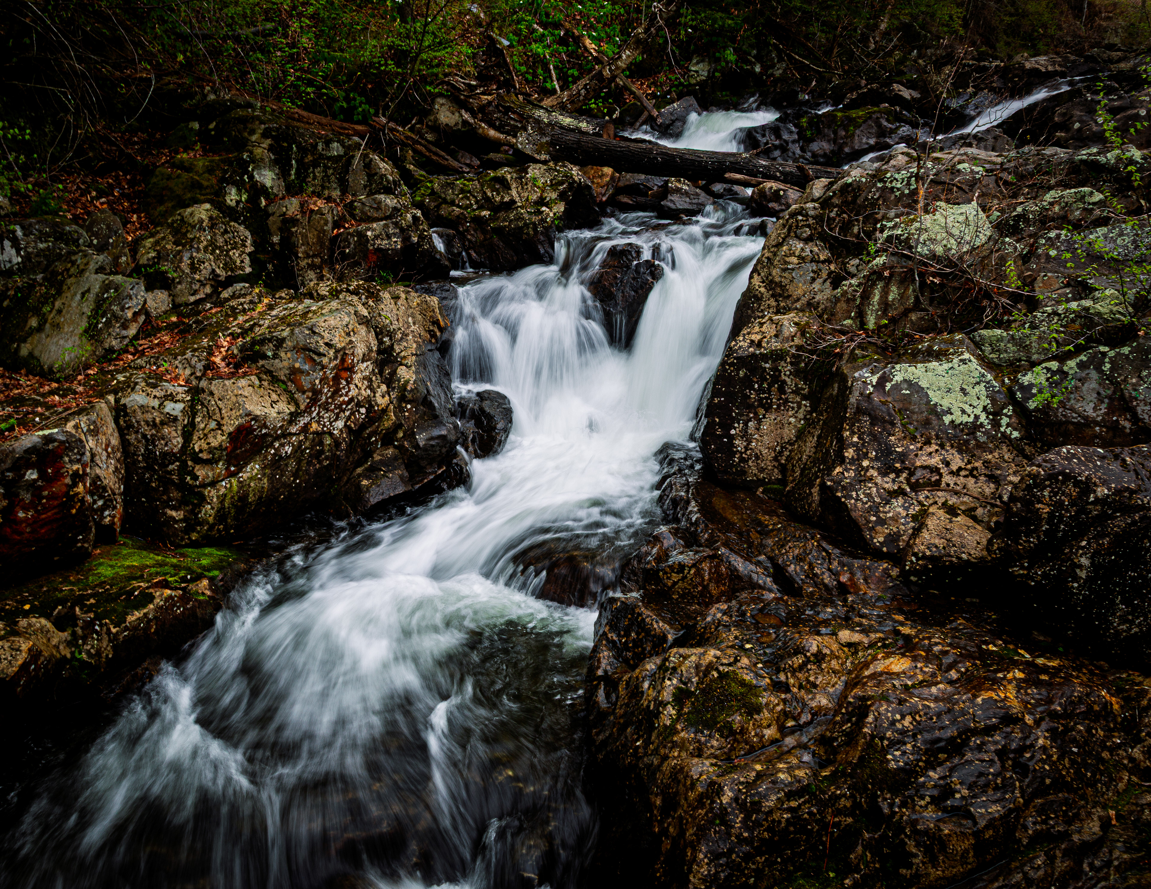 Bristol Falls Park No24