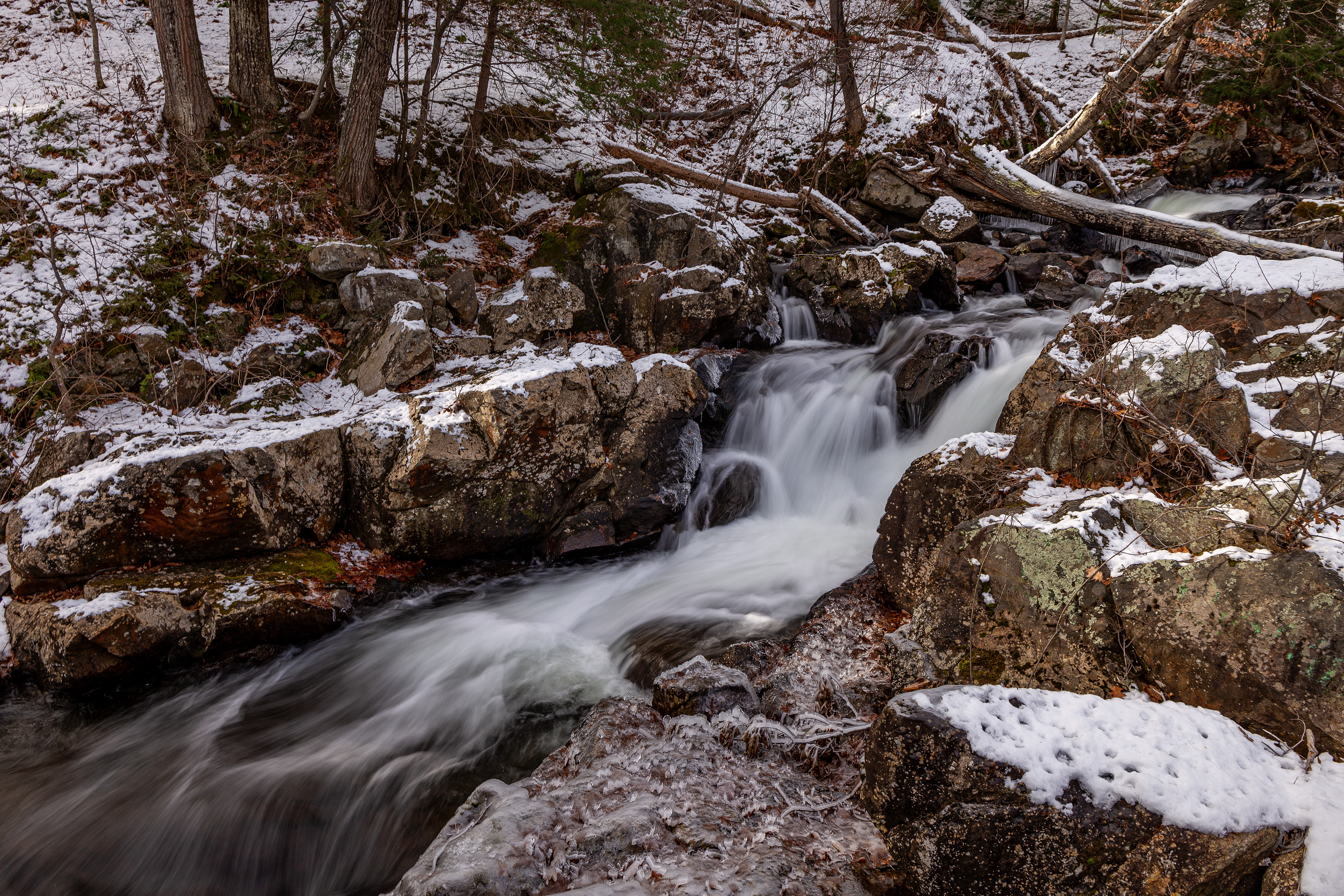 Bristol Falls Park 12-3-2024 No13