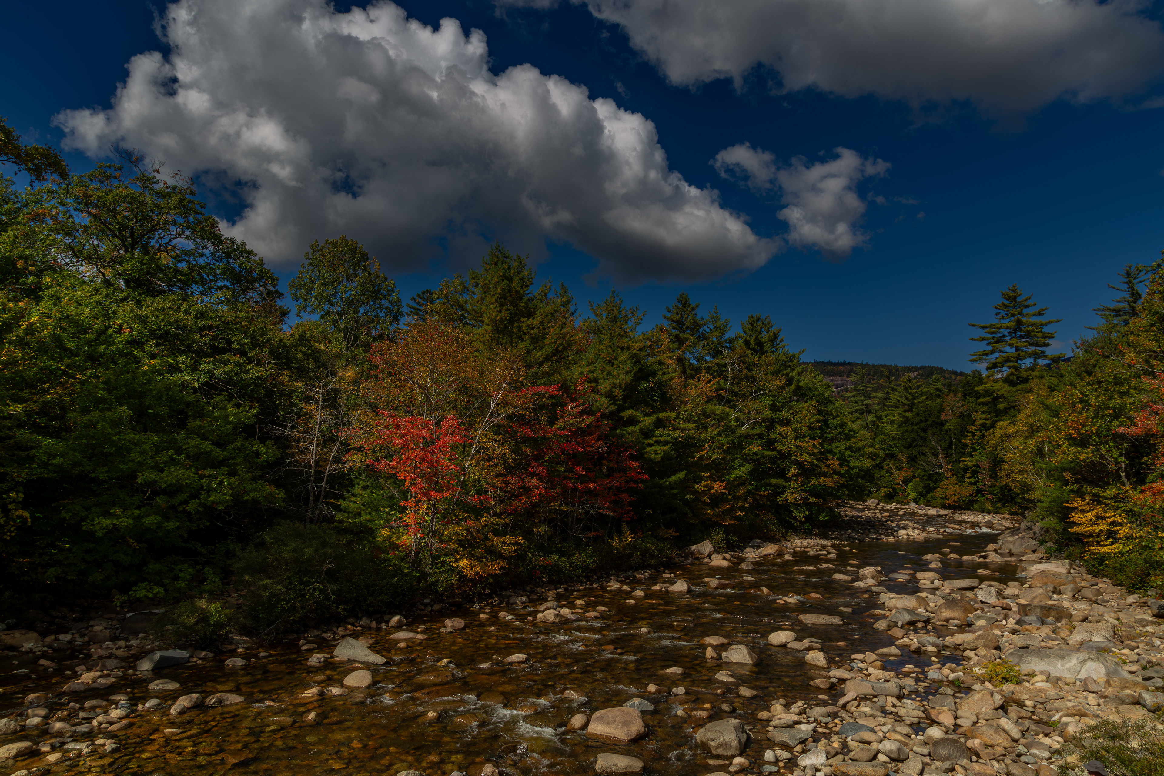 View Upstream from Albany Covered Bridge