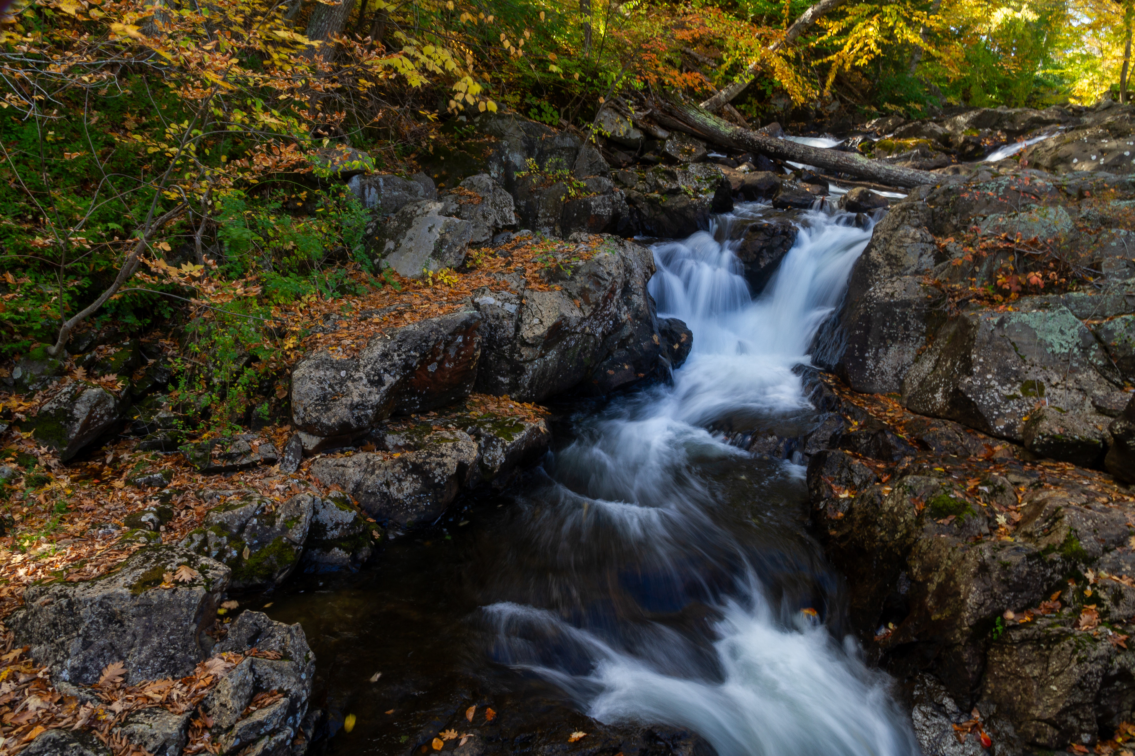 Autumn Color at Bristol Falls - October 10, 2024