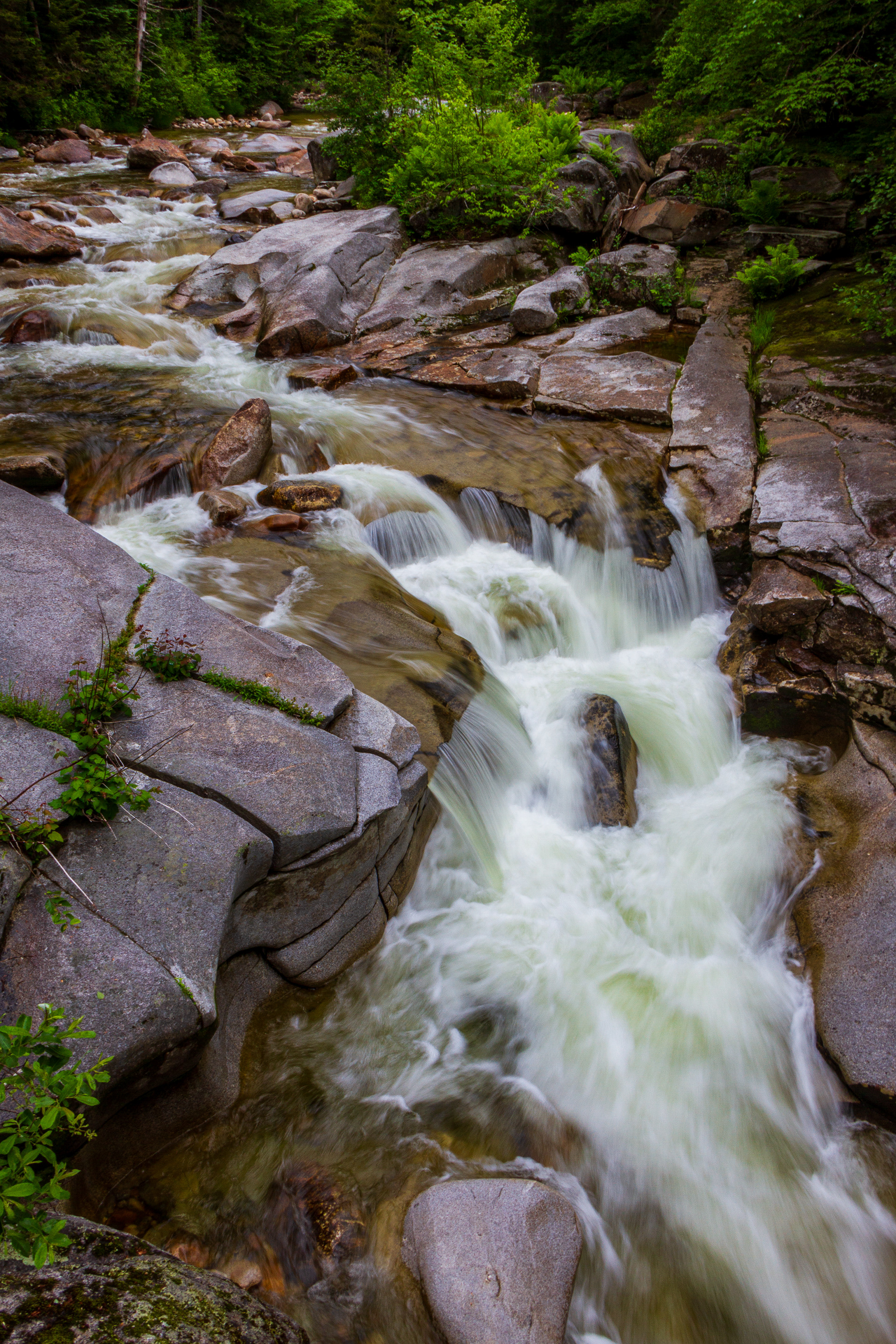 Upper Cascade No8