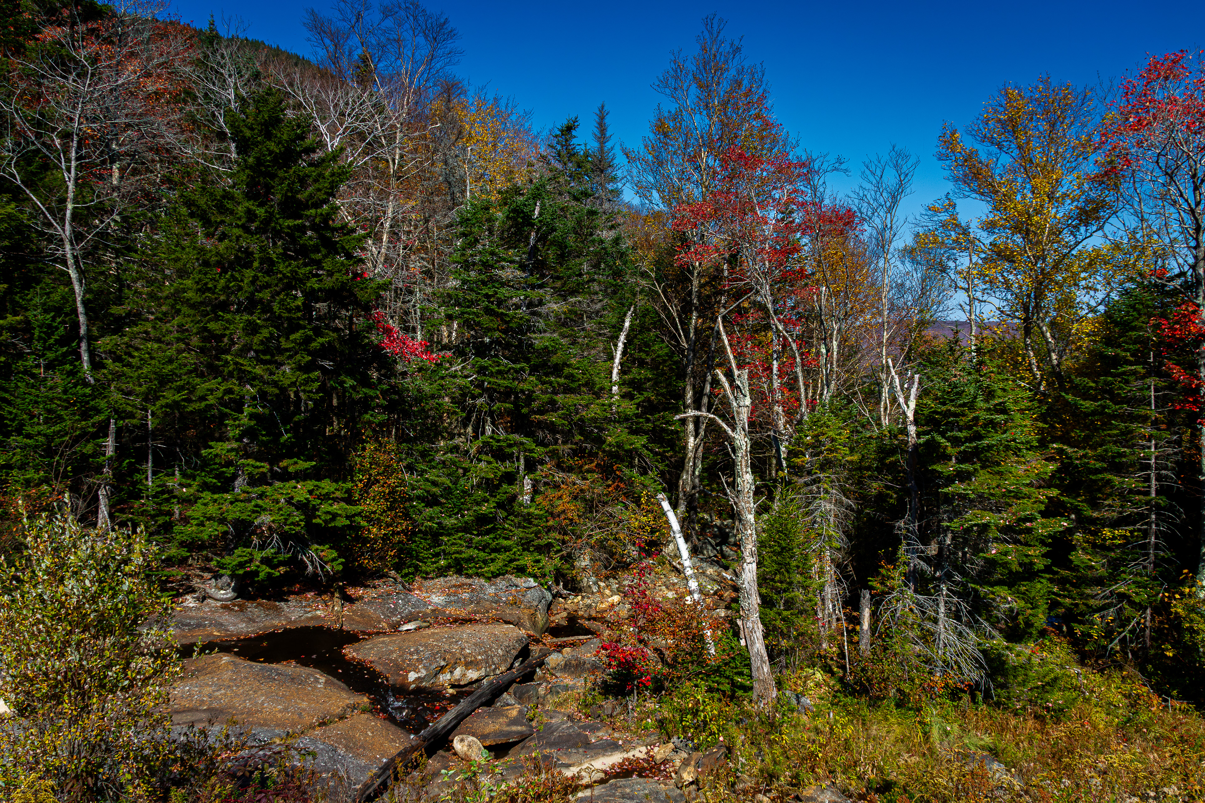 Beaver Pond Recreation Area No2