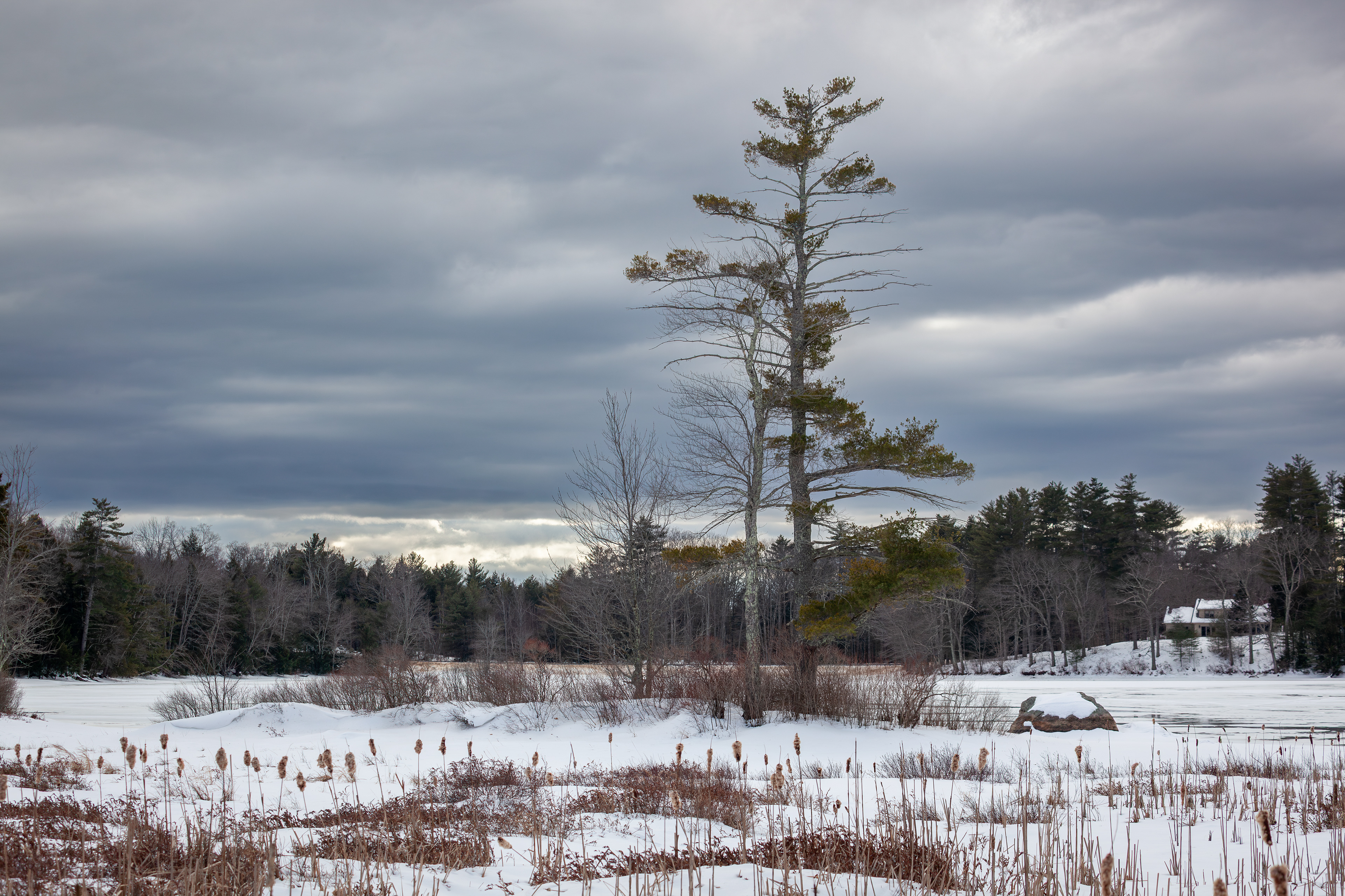 February - Rollins Pond - Gilmanton, NH No3