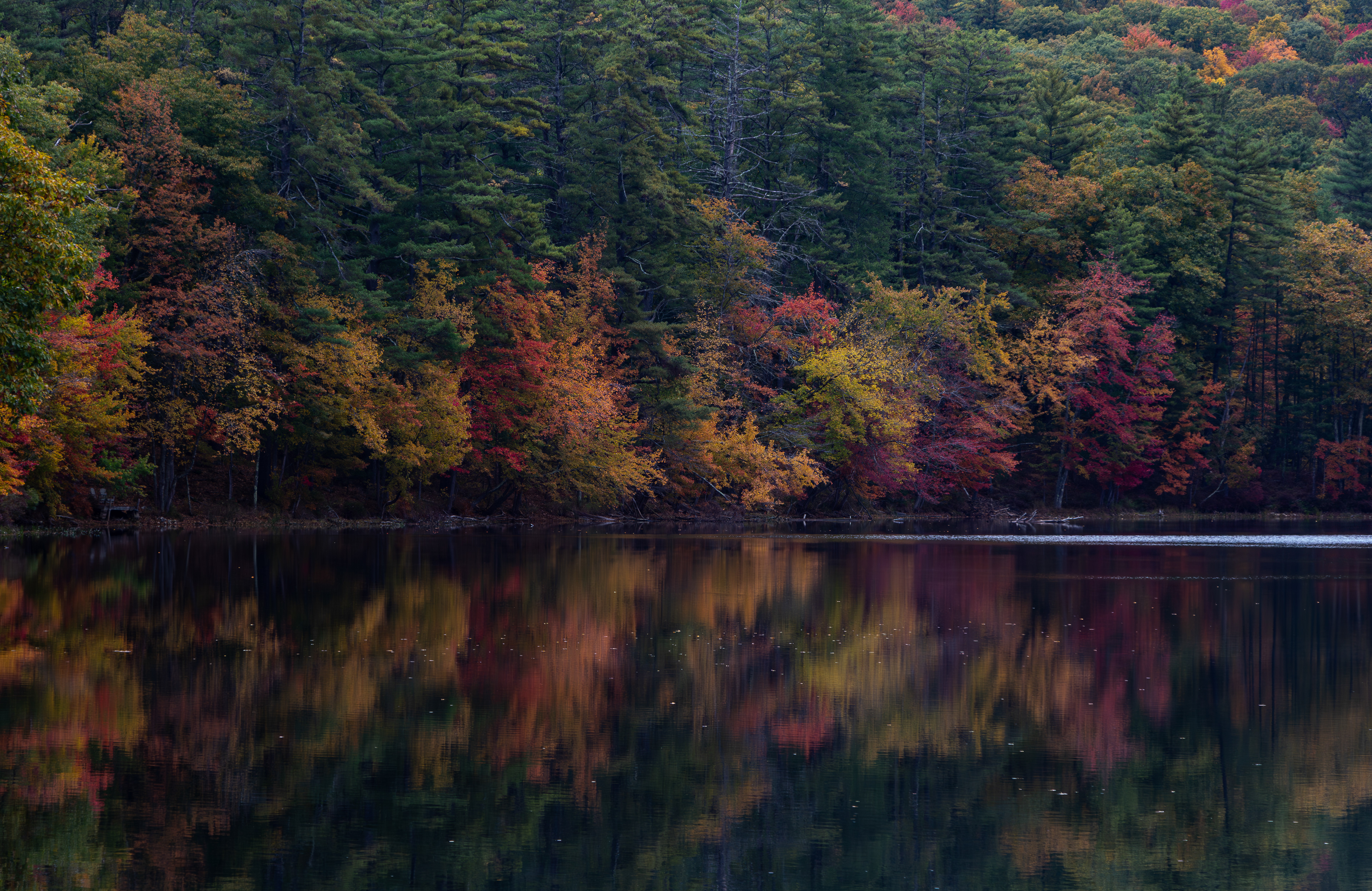 Rollins Pond No5