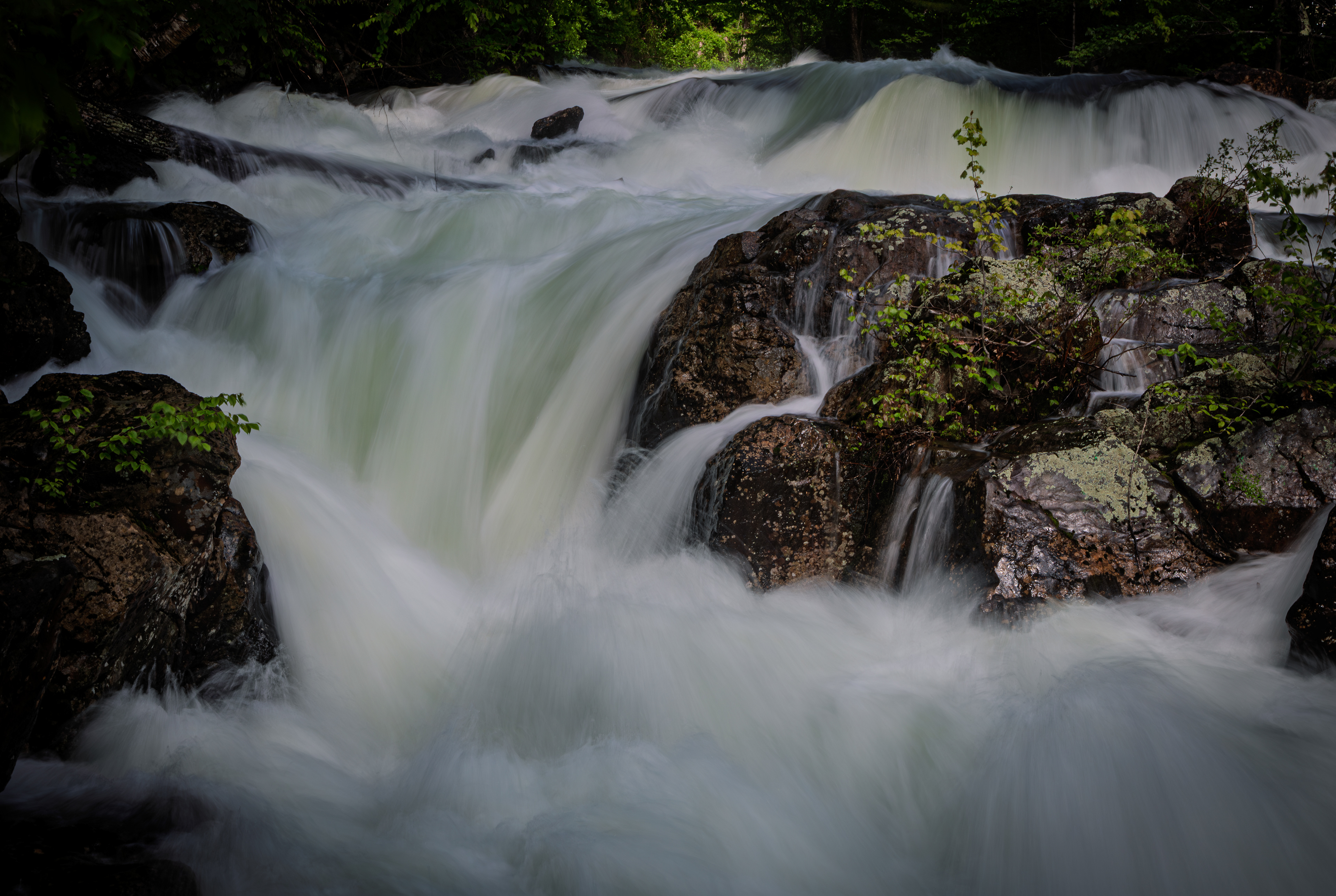 Bristol Falls Park No34