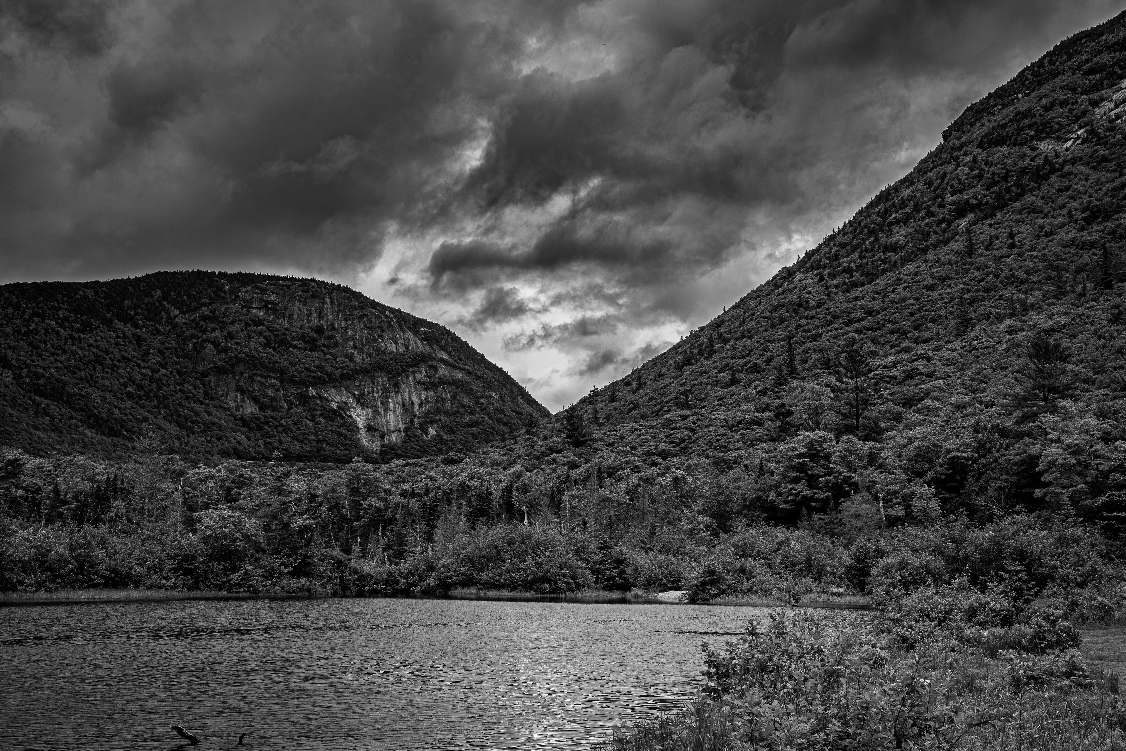 Willey Pond No7