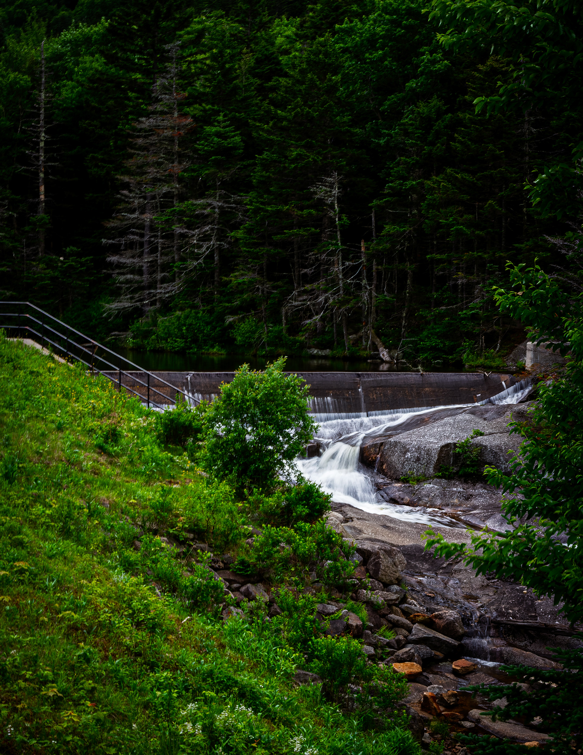 Beaver Pond Dam No14