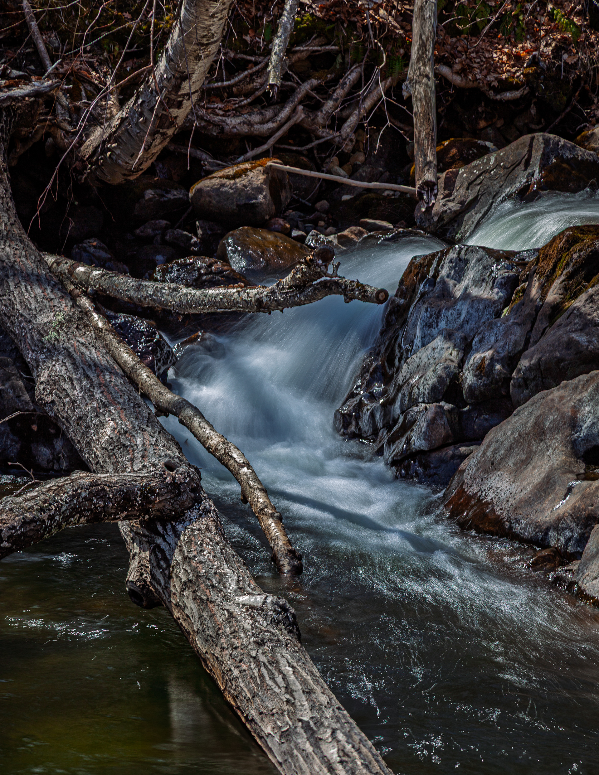 Bristol Falls Park No2