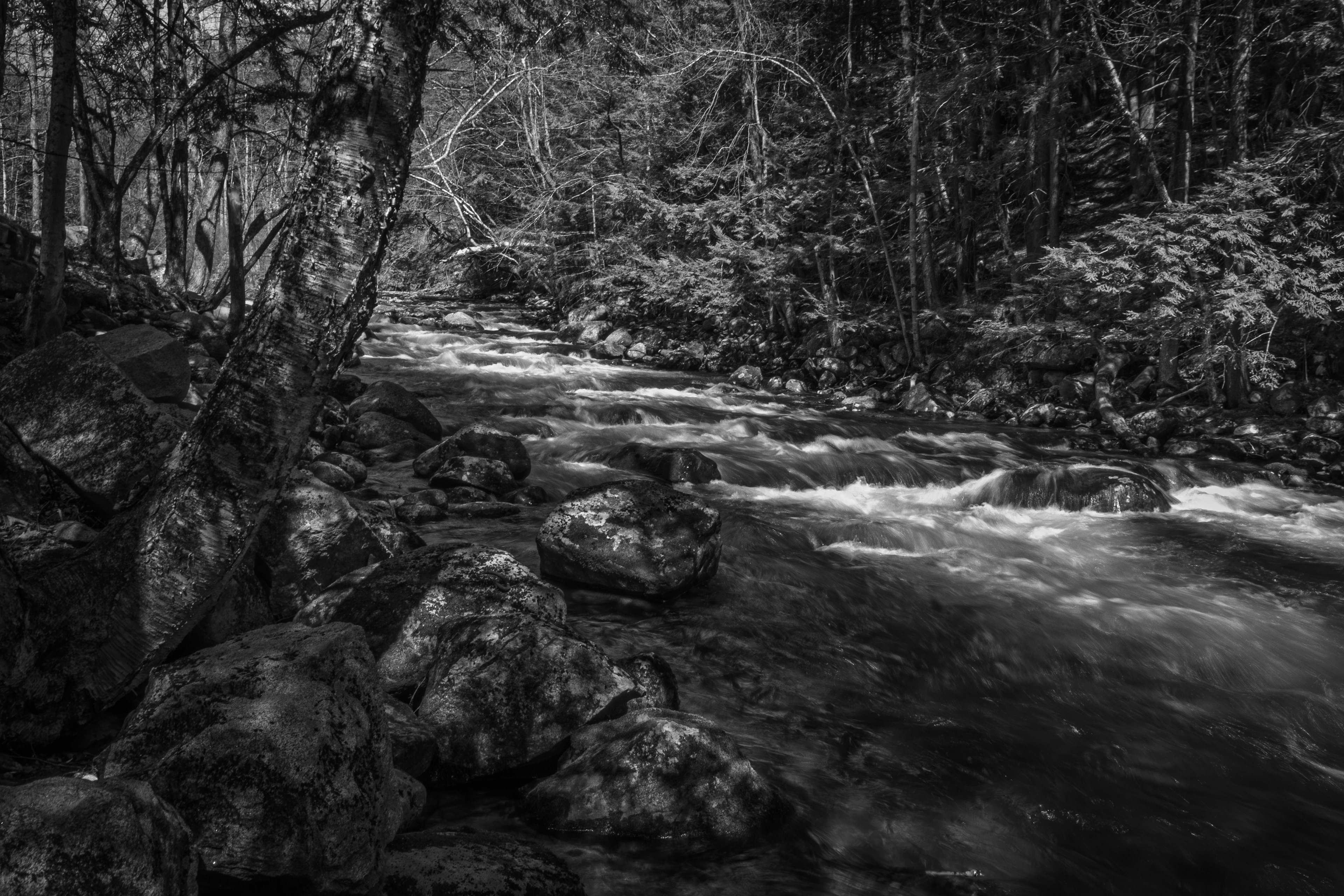 Newfound River - April 24, 2026