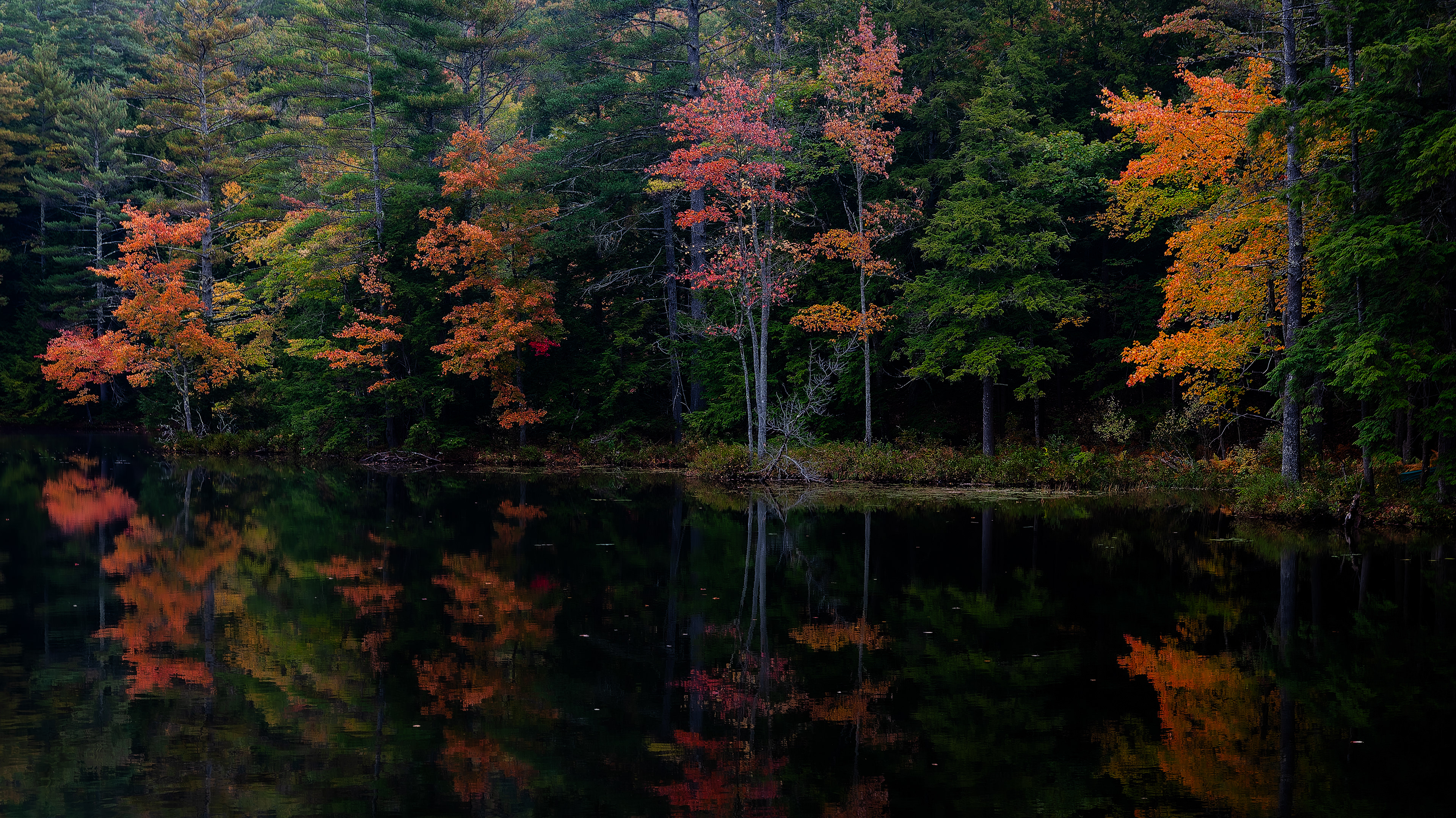 Autumn Colors at Meadow Pond Dam - October 8, 2026