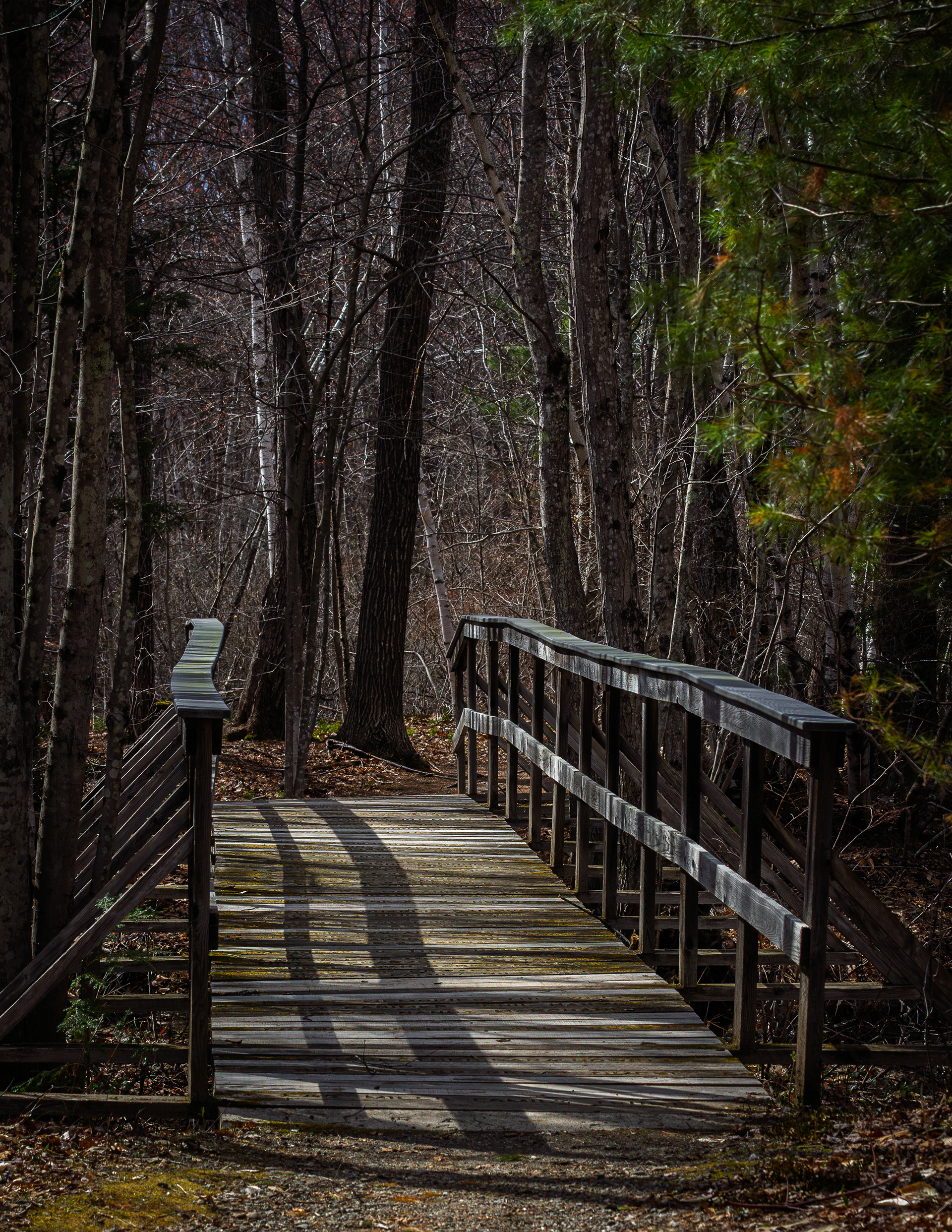 Bridge at Grey Rocks No2