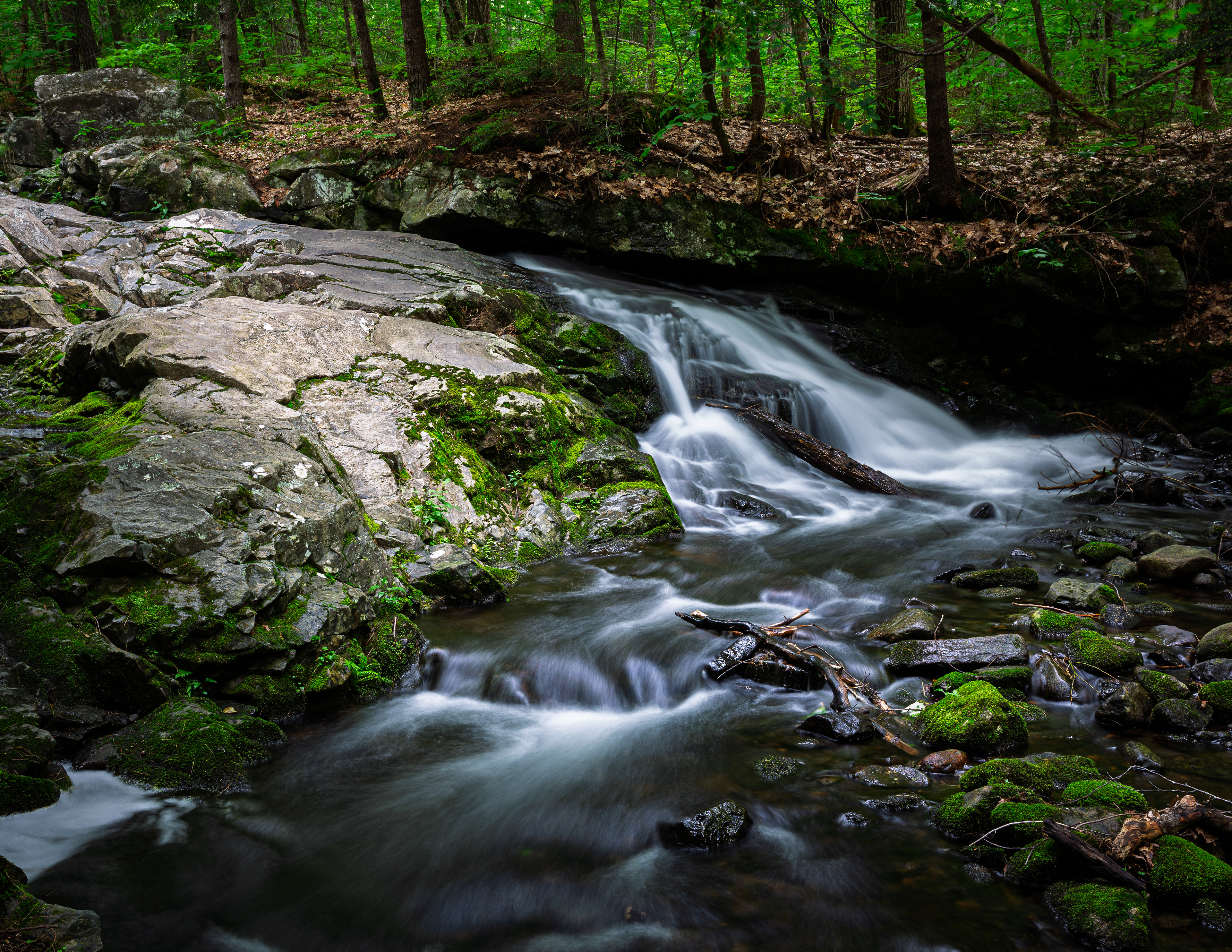 Brook Trail Unnamed Falls No4