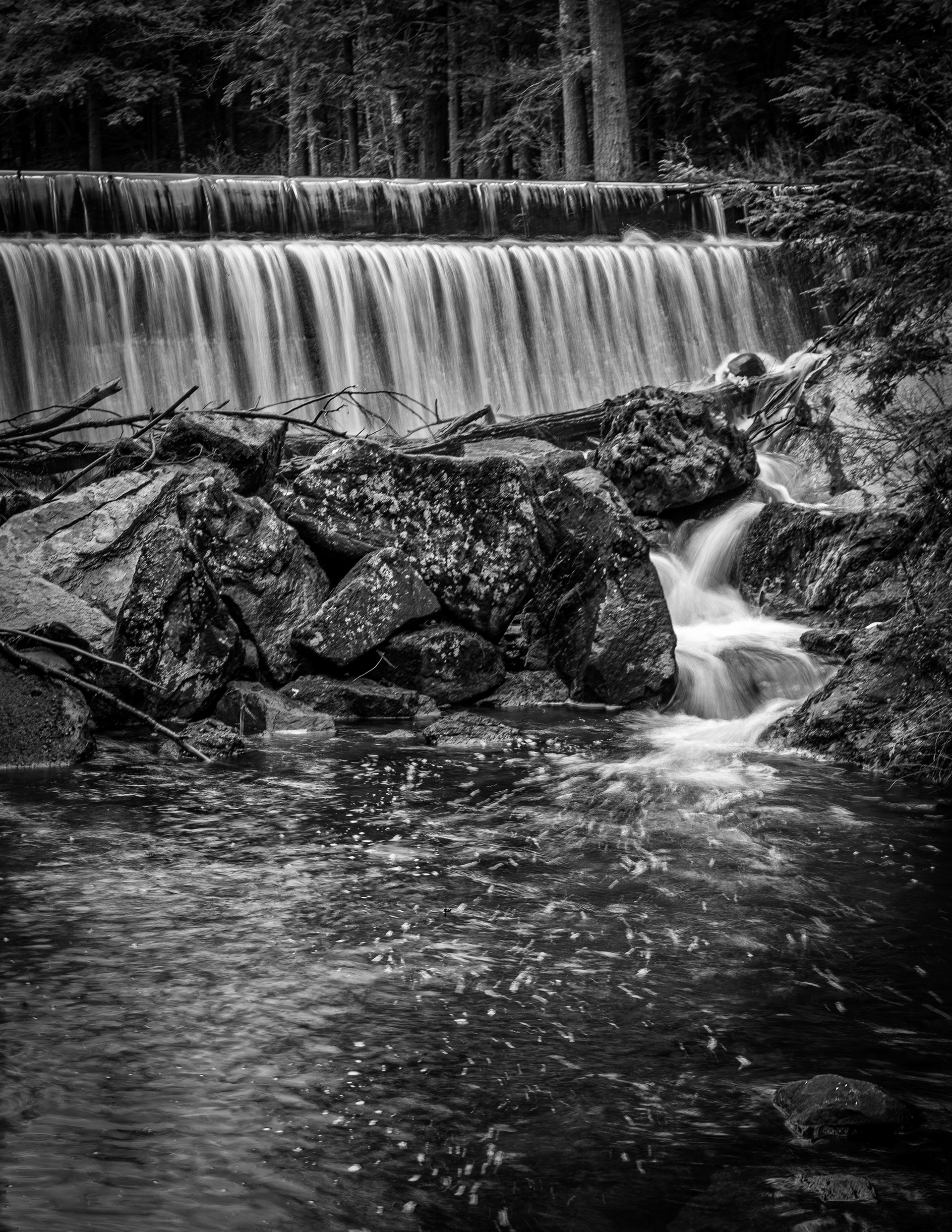 Dam in Black & White