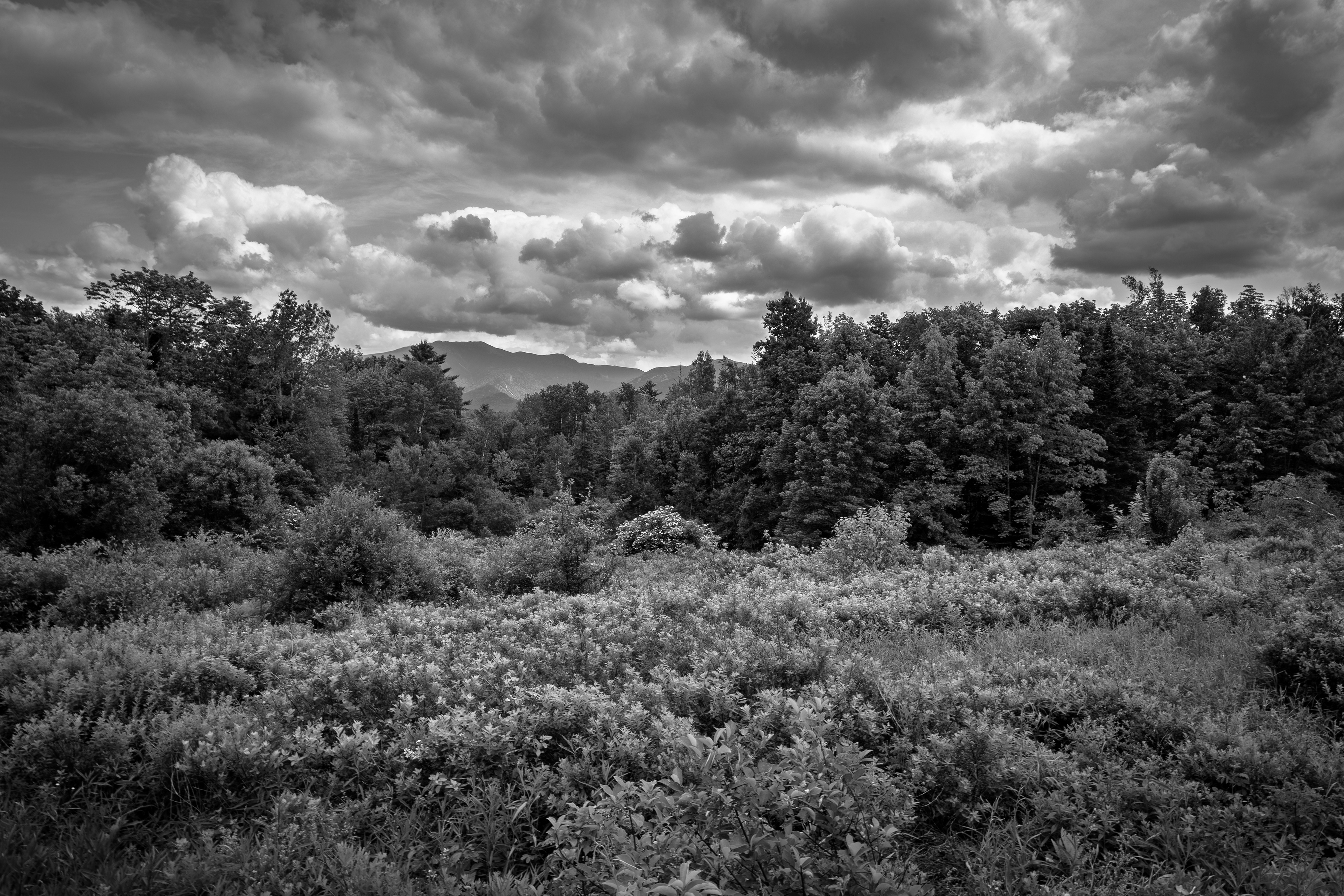 Cloud Drama at Sugar Hill No1