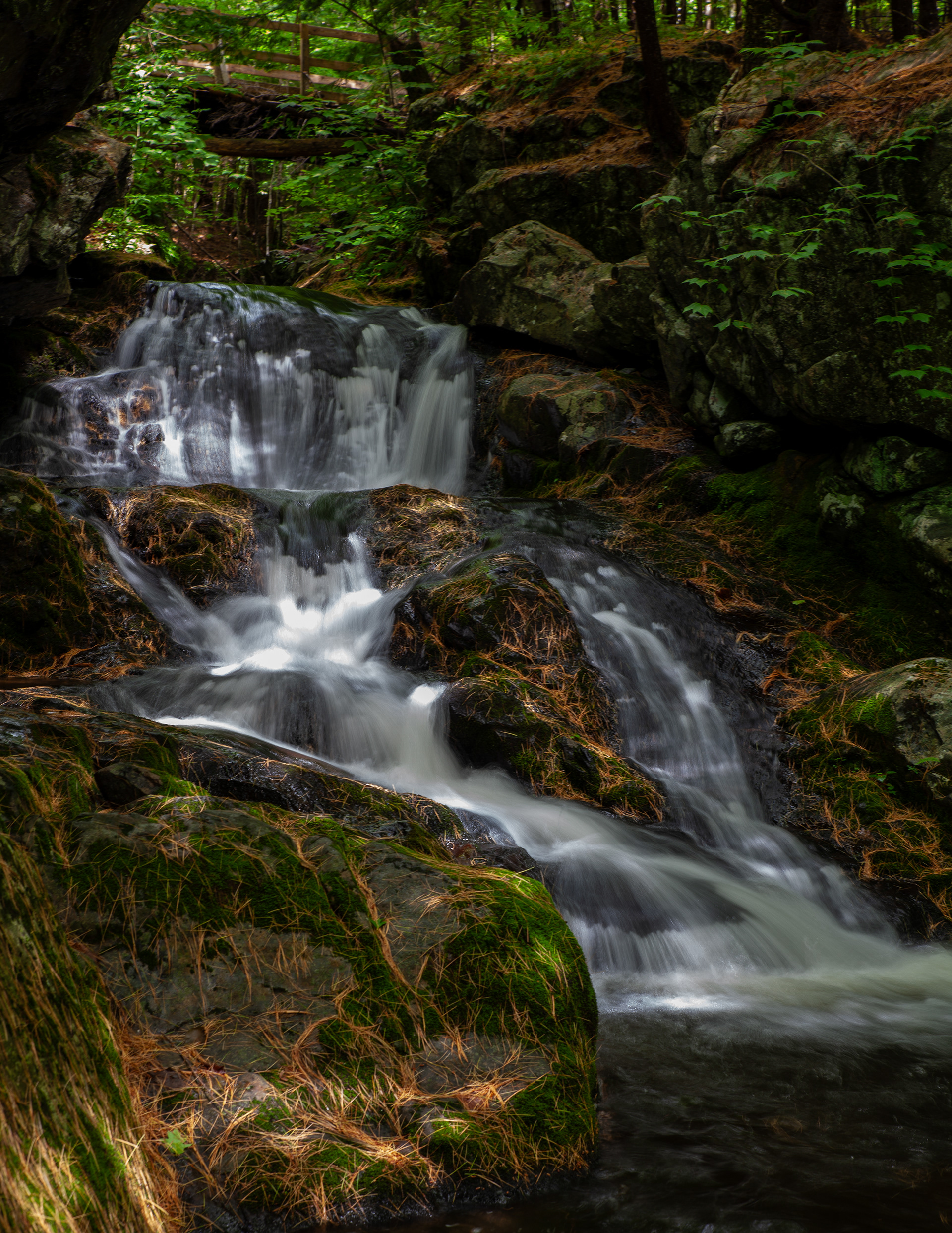 Roaring Falls at CITC - June 24, 2024
