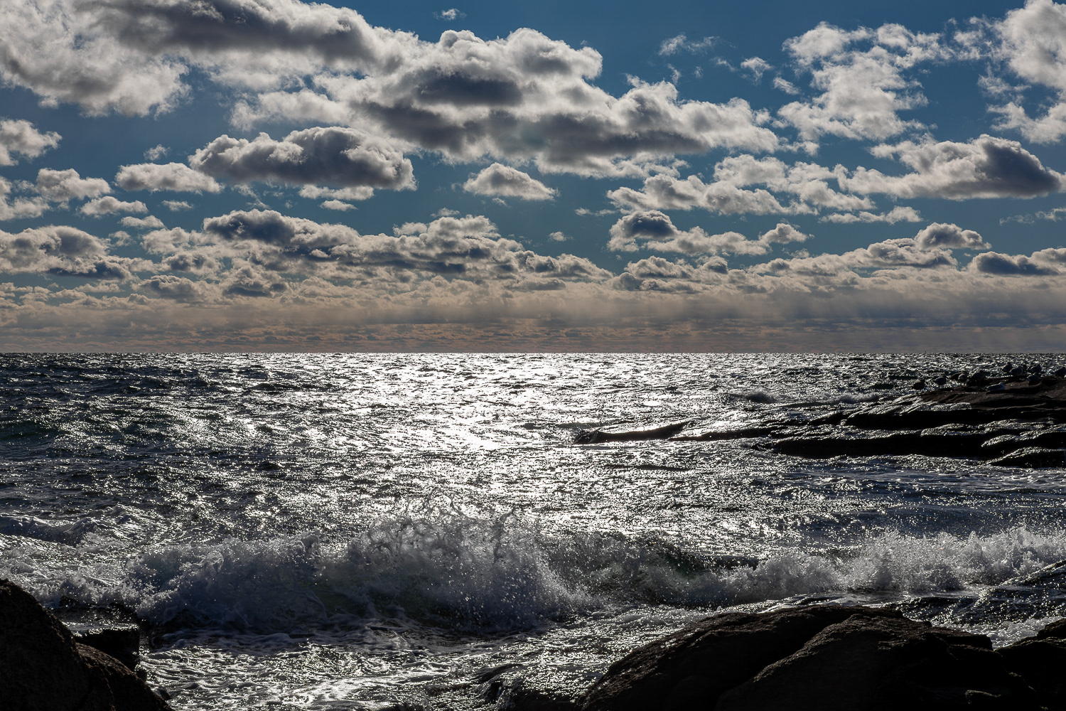 January - Sohier Park - York, Maine No1