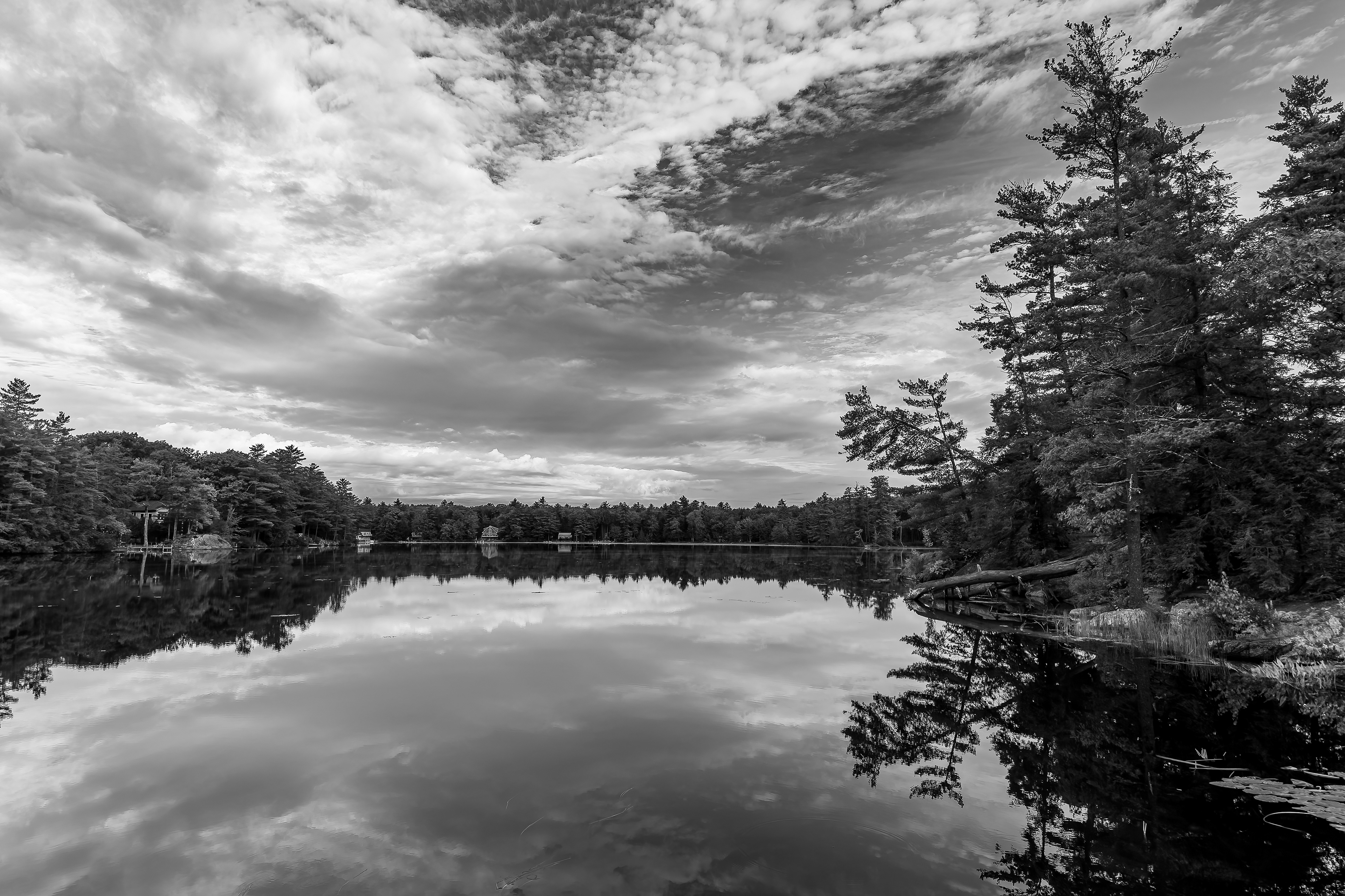 Shellcamp Reflections No1 - September 20, 2026