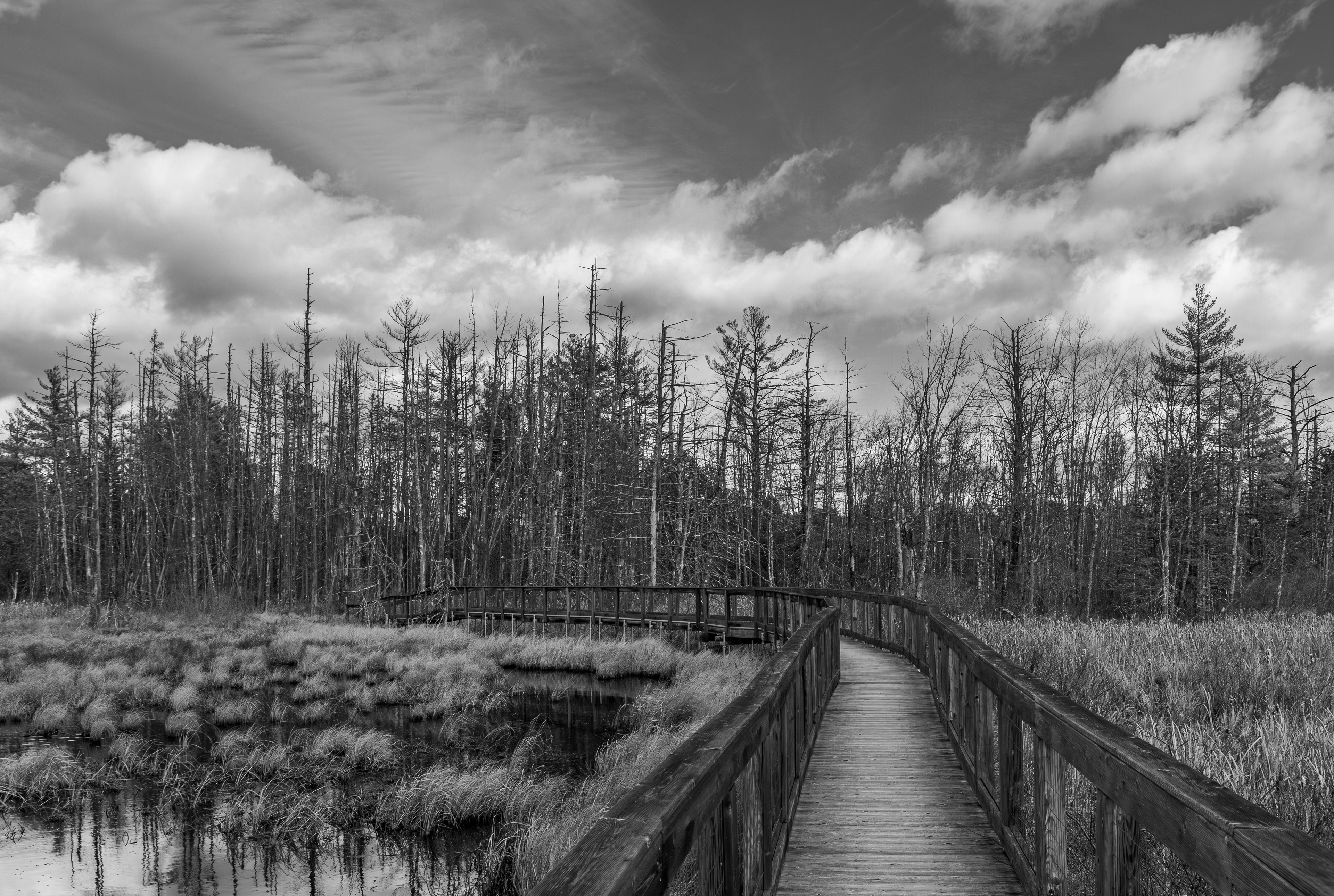 Alice Bemis Thompson Wildlife Sanctuary - November 7, 2024