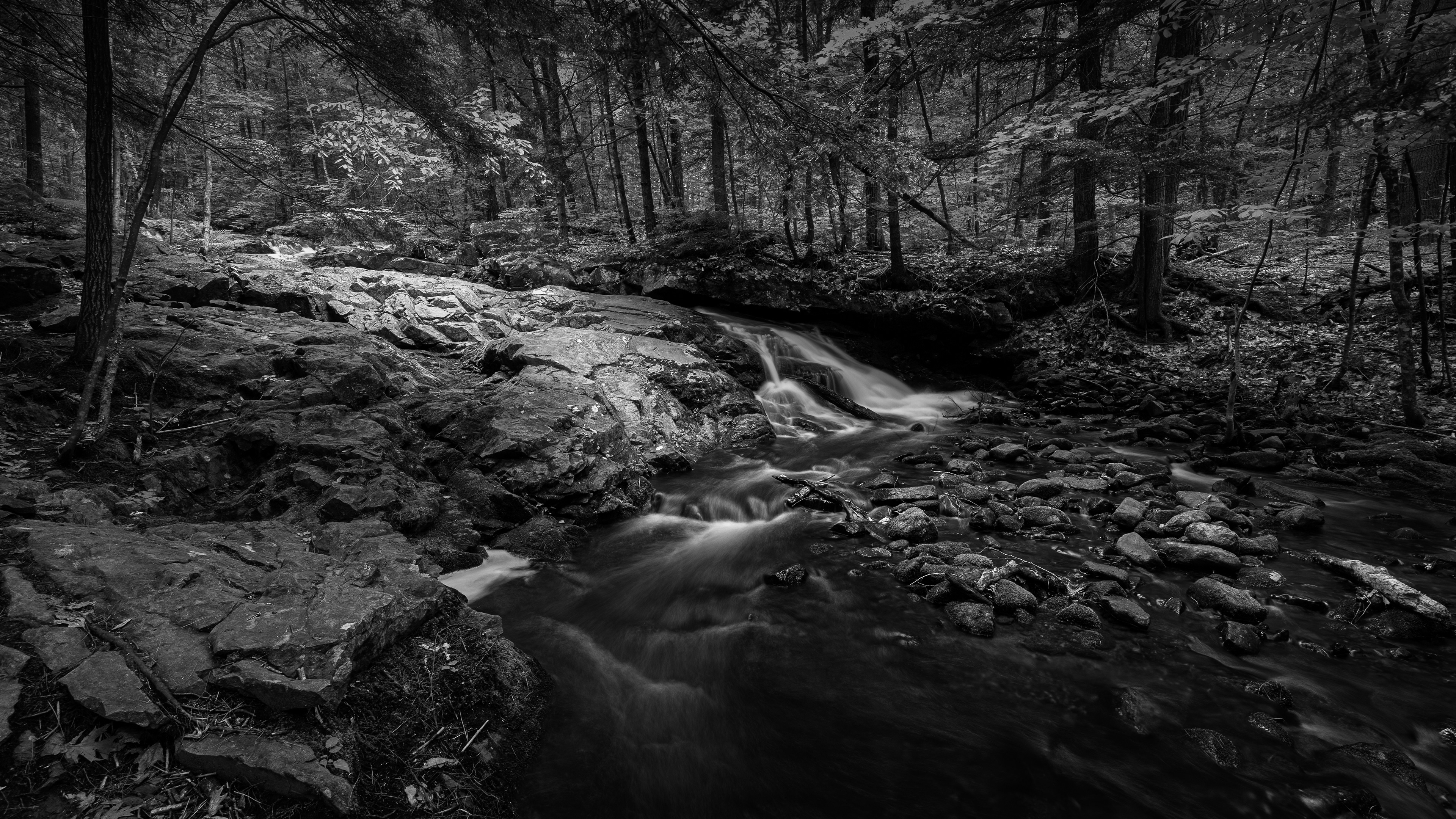 Brook Trail Unnamed Falls No5