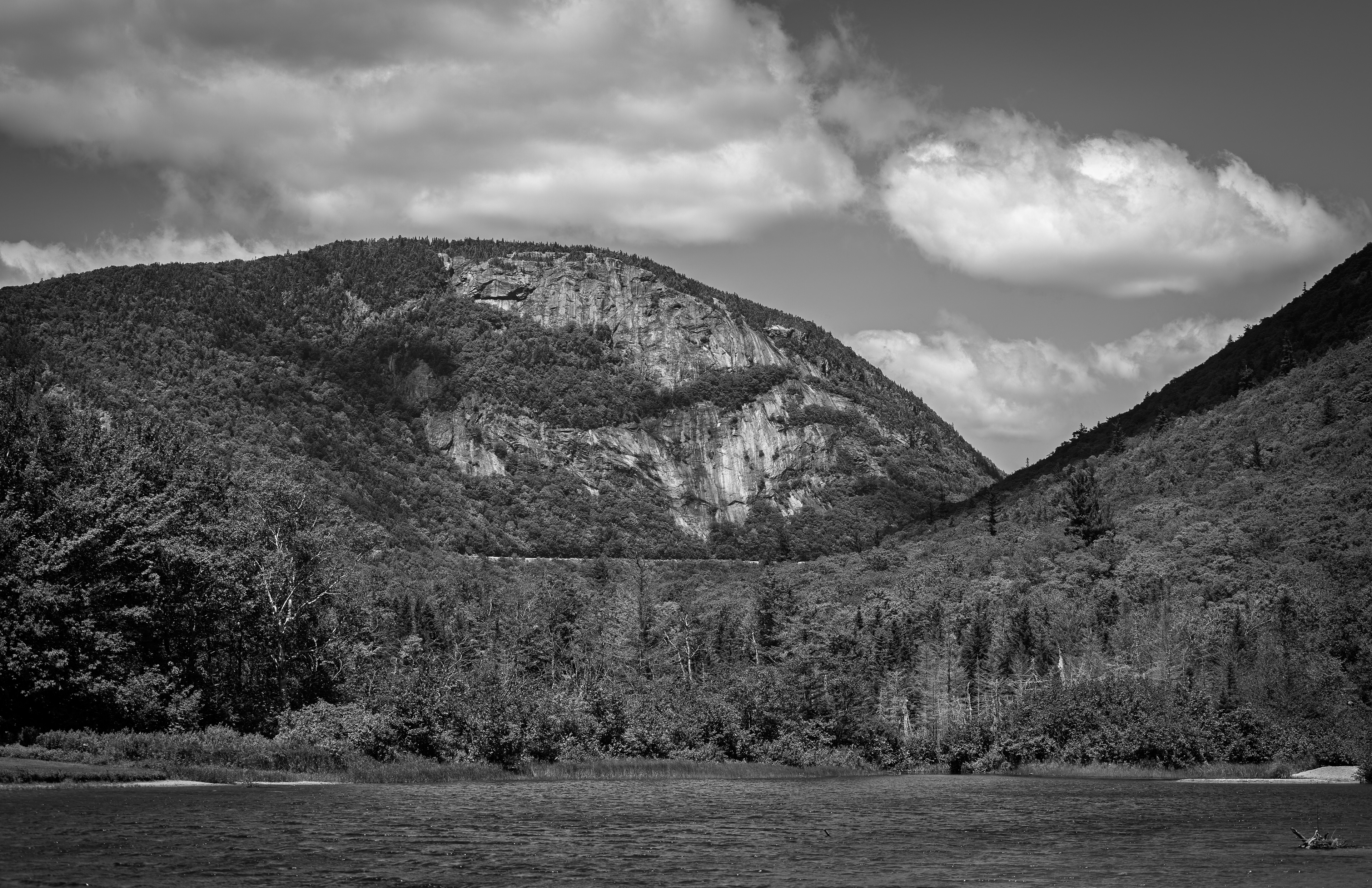 Mount Willard from Willey Pond No1