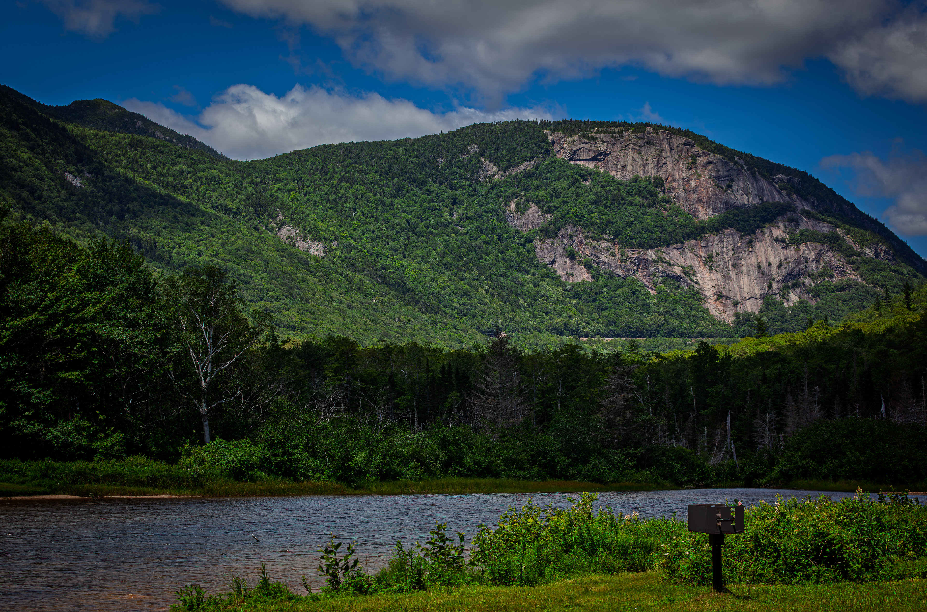 Mount Willard from Willey Pond No6