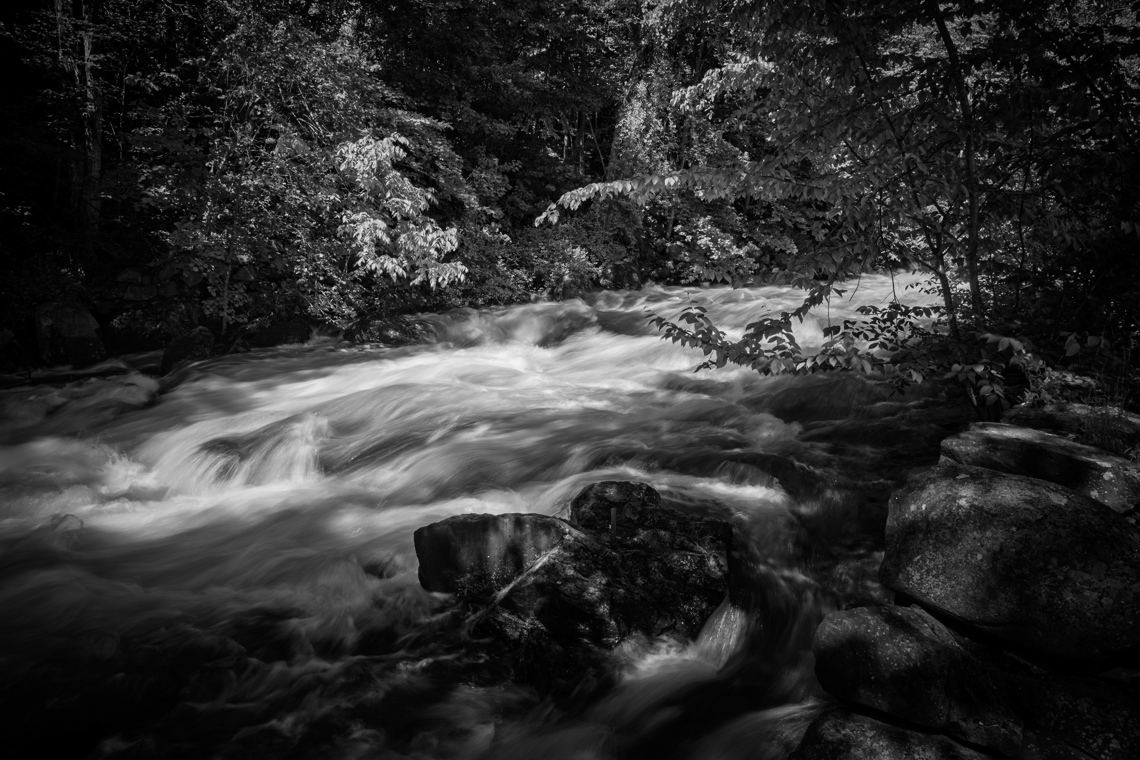 Bristol Falls Park No1