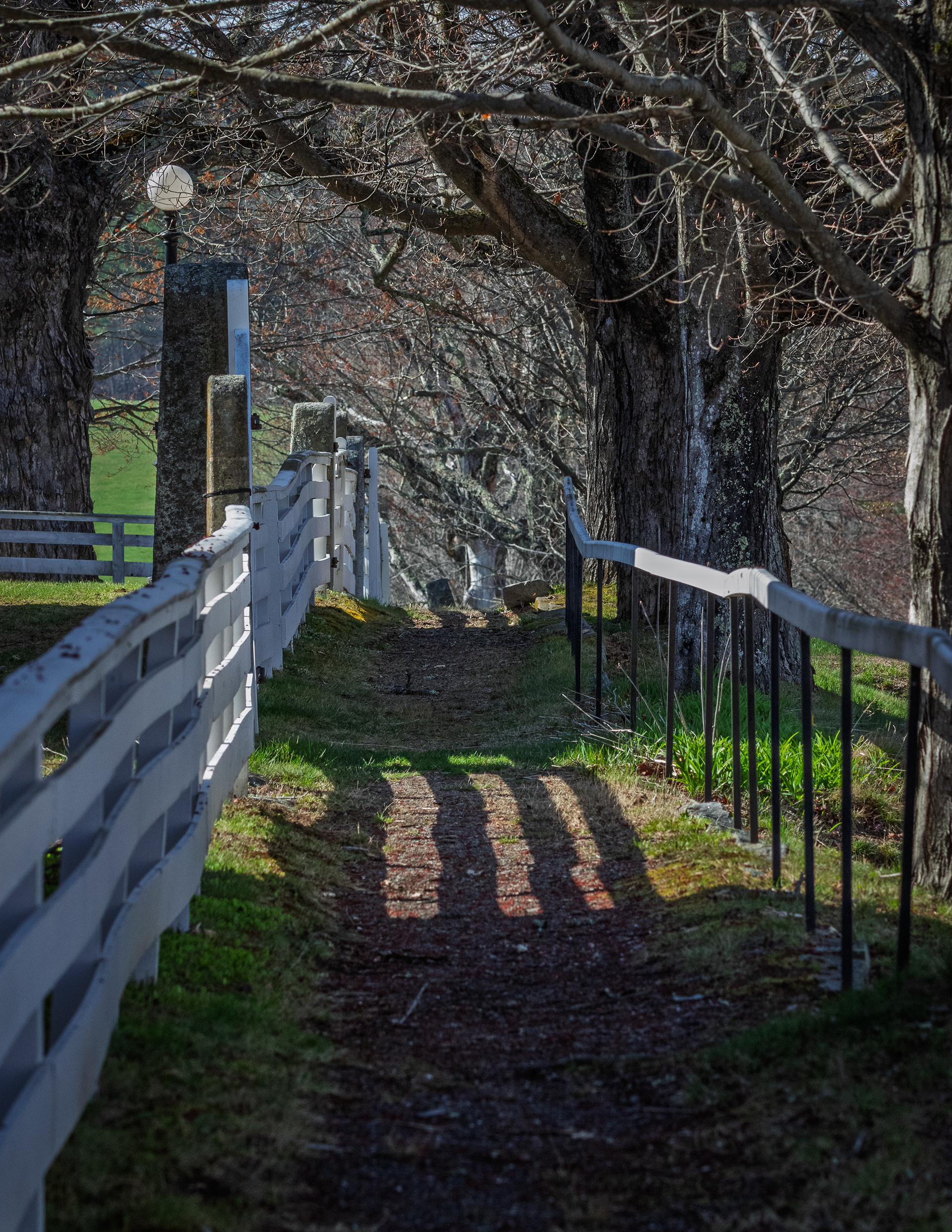 Pathway at CSV