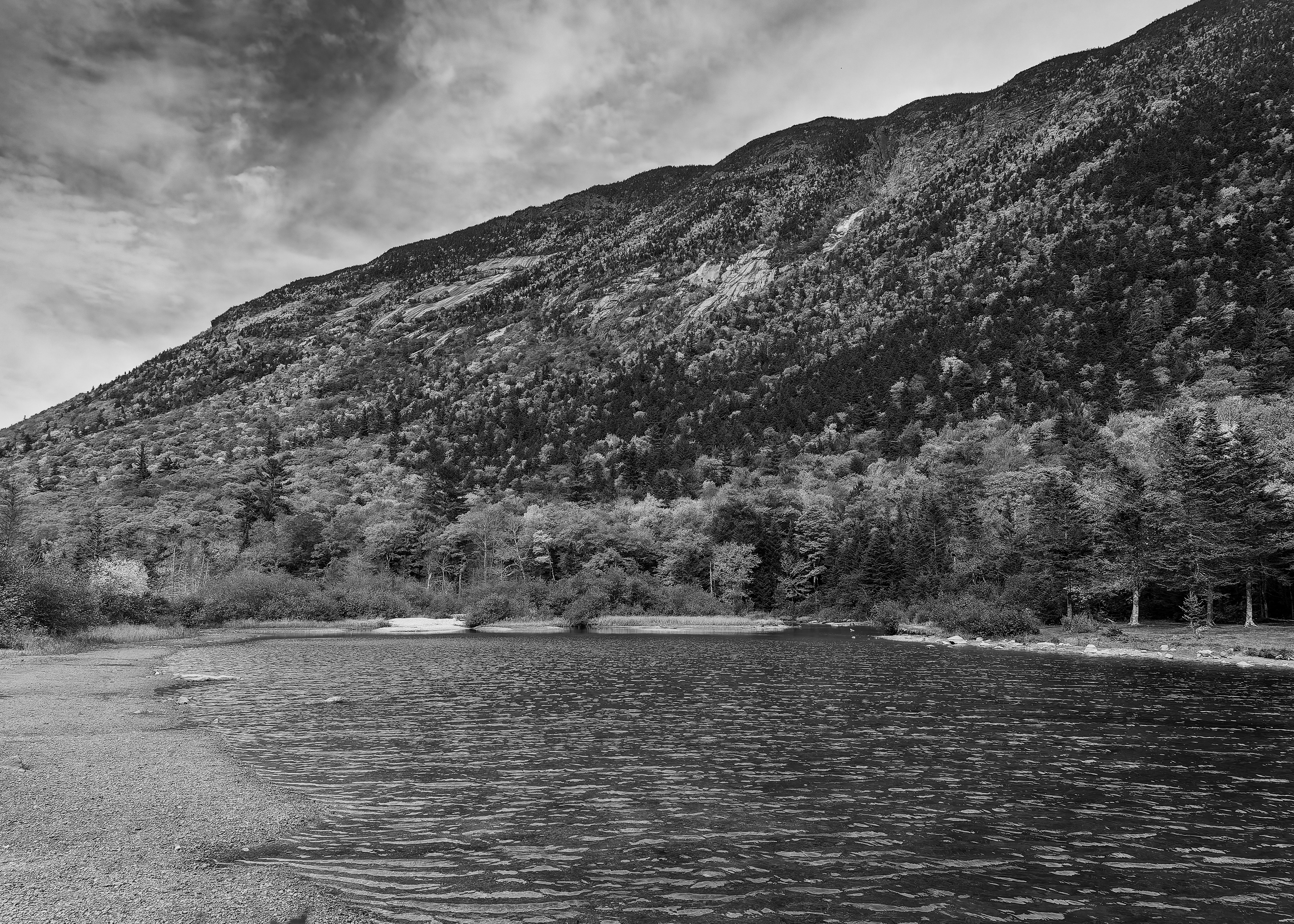 Willey Pond Views No2