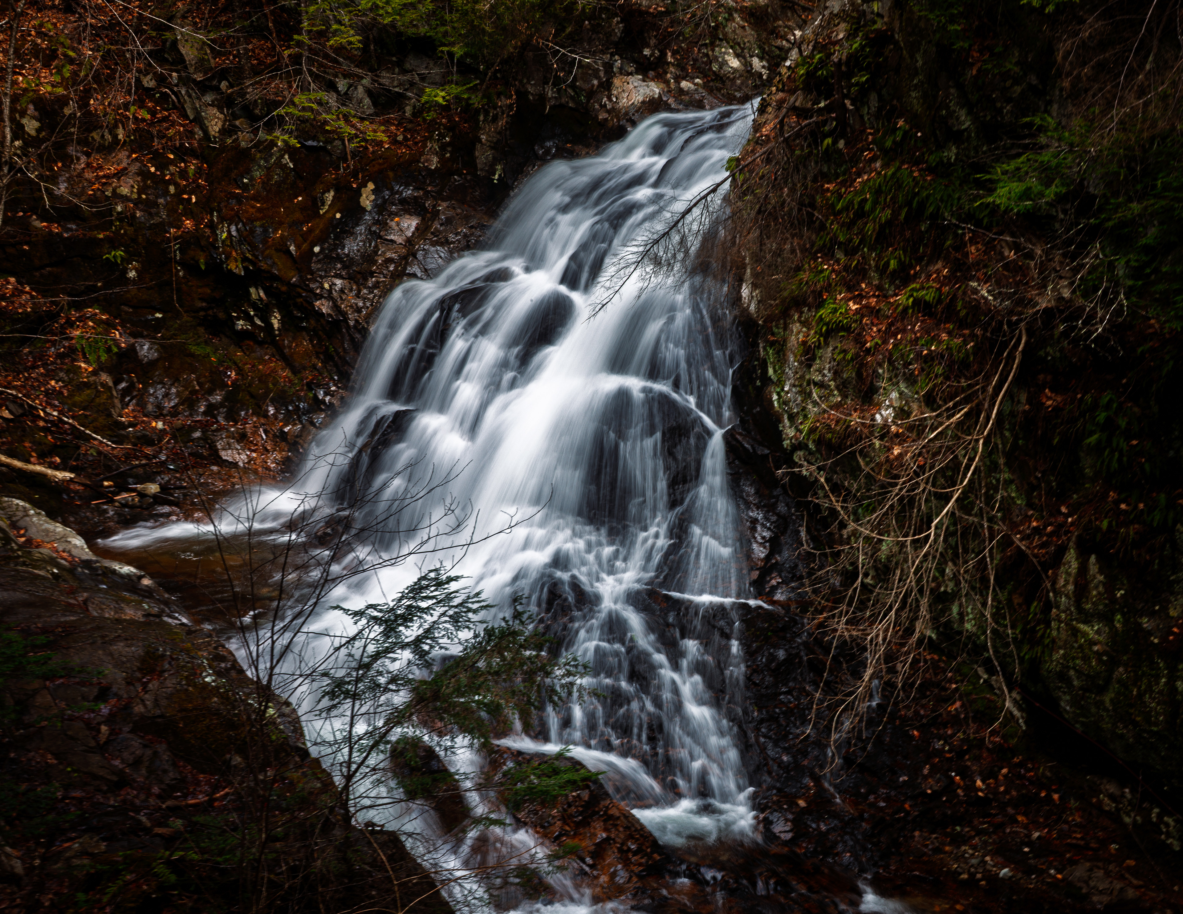 CITC Brook Walk - Bridal Veil Falls No26