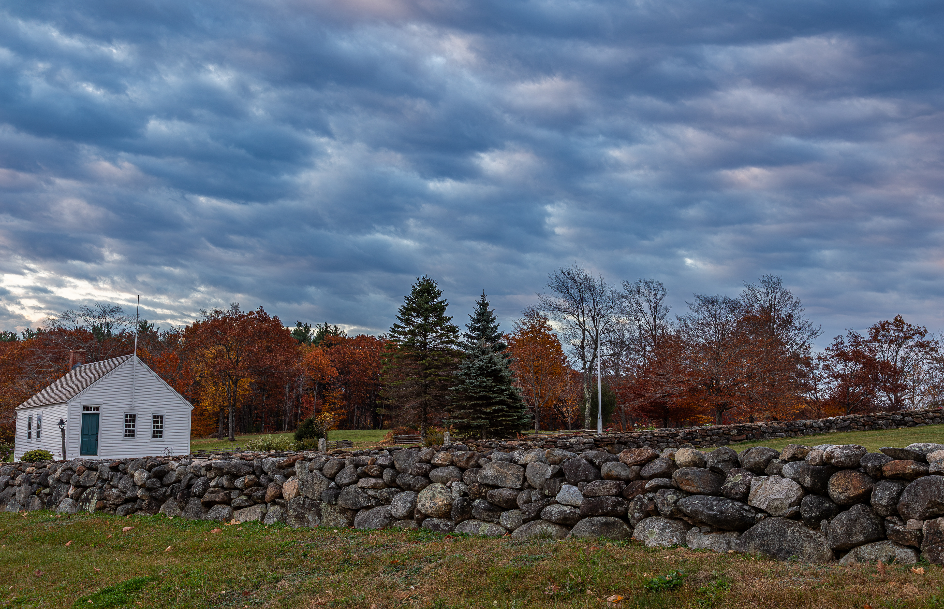 Frisky Hill Morning Beauty - October 24, 2024