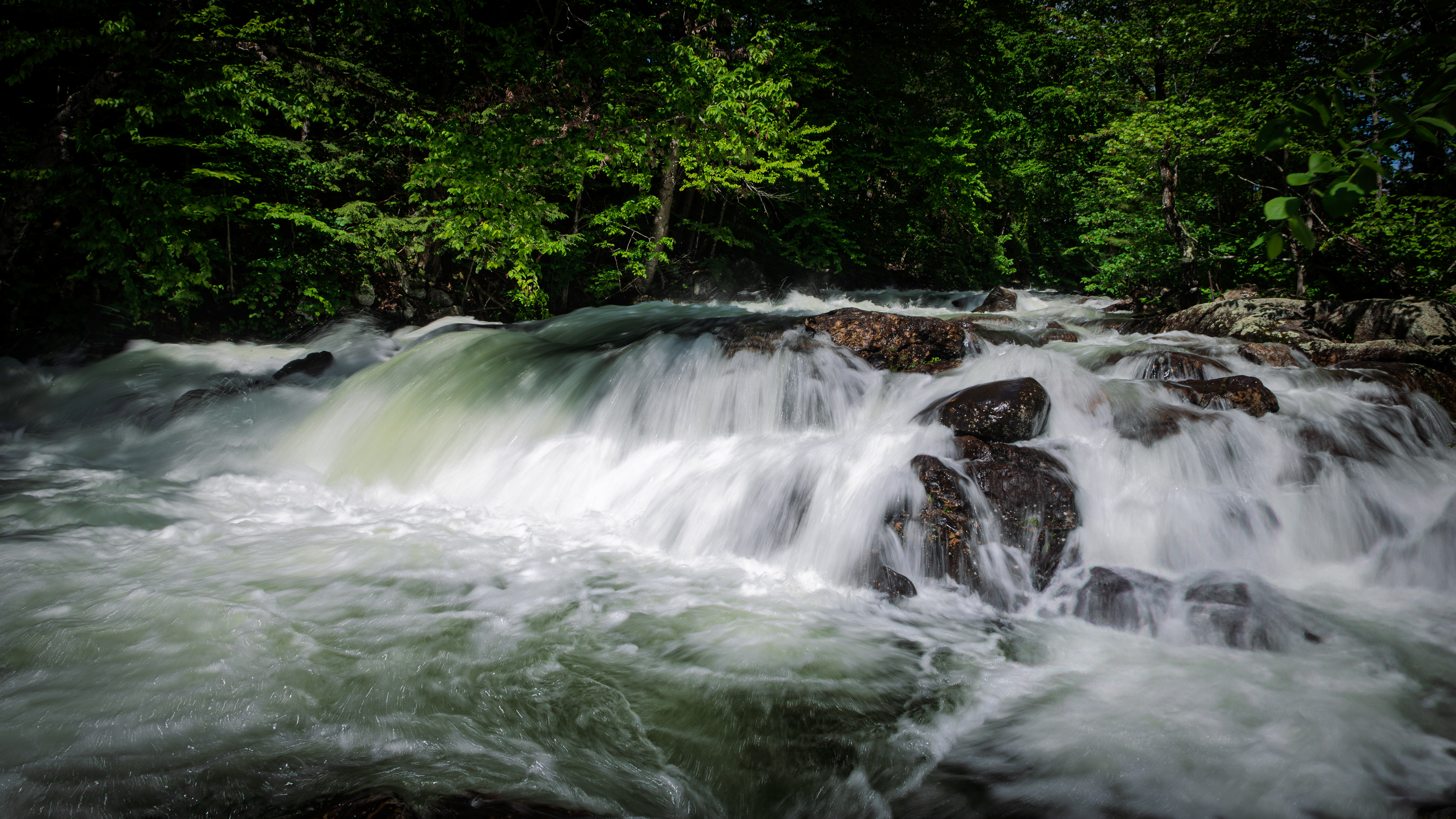 Bristol Falls Park No8